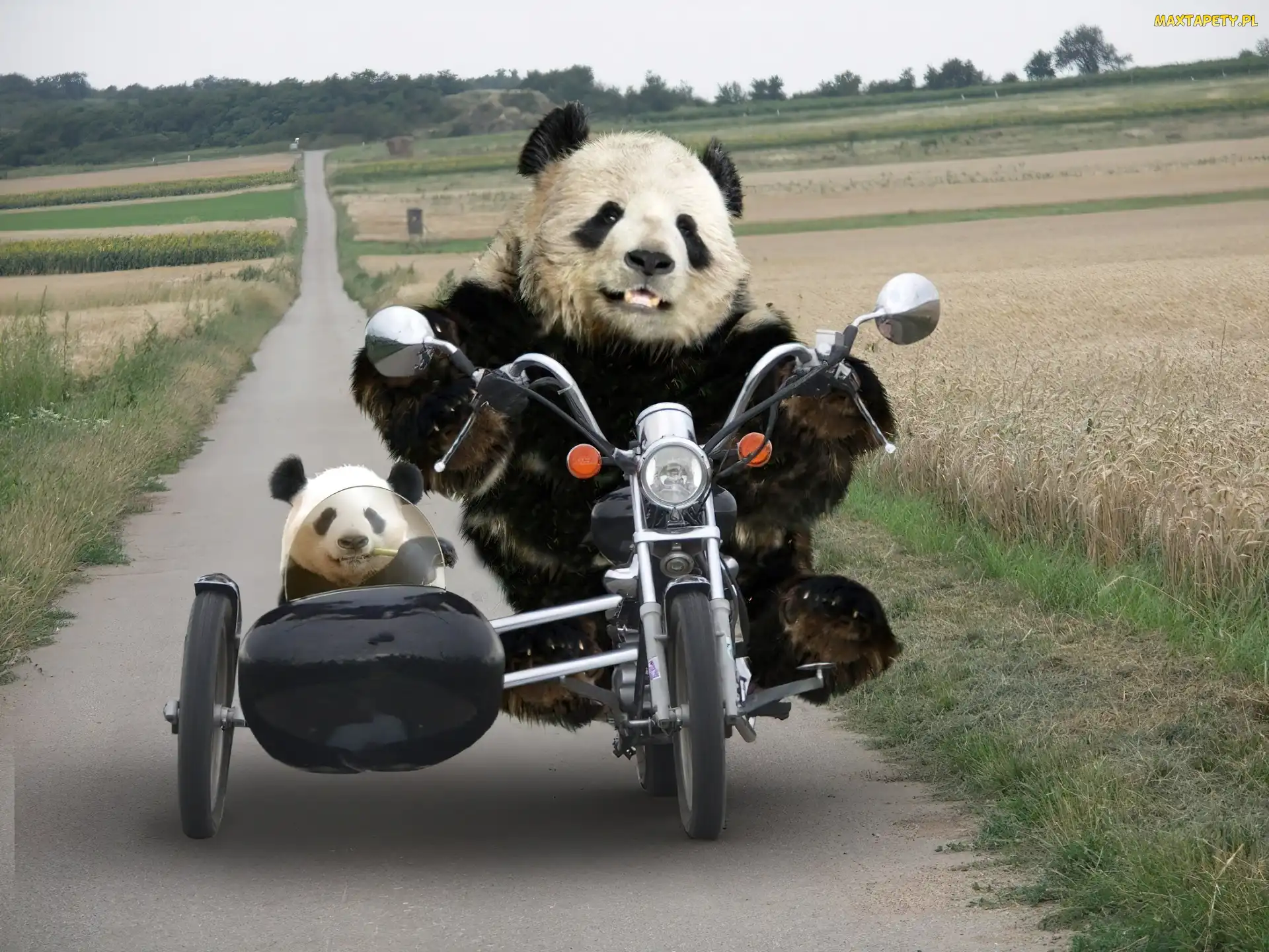 Na, Motocyklu, Pandy