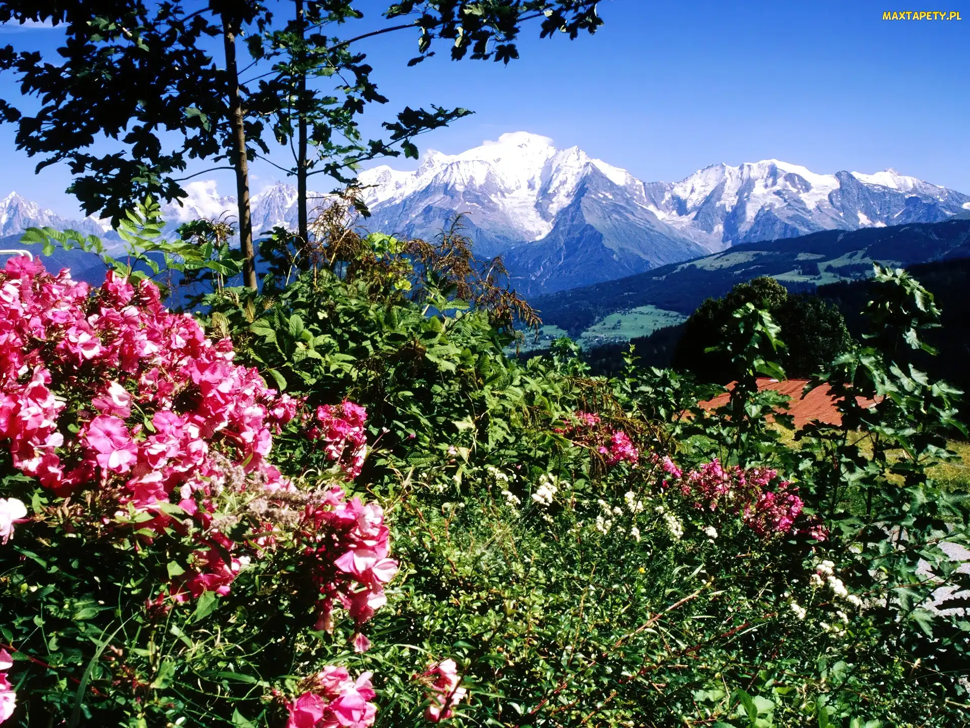 Mont Blanc, Francja, Góry