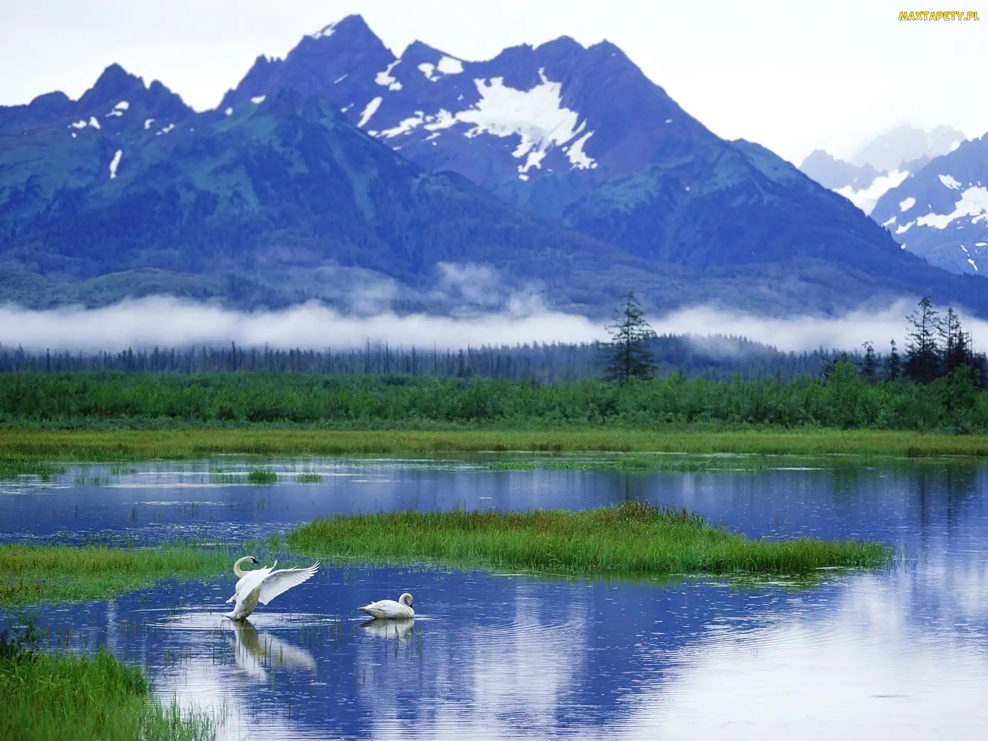 Alaska, Łabędzie, Góry, Jezioro