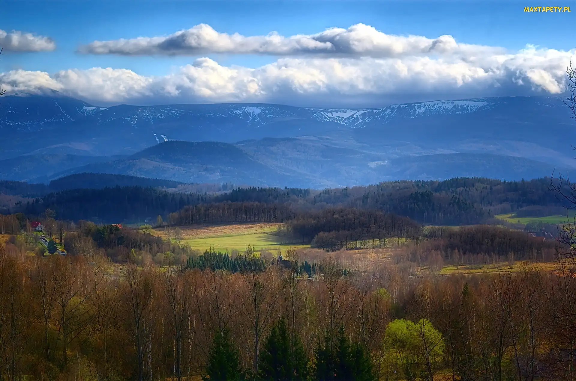 Drzewa, Las, Chmury, Góry, Szczyty, Śnieg