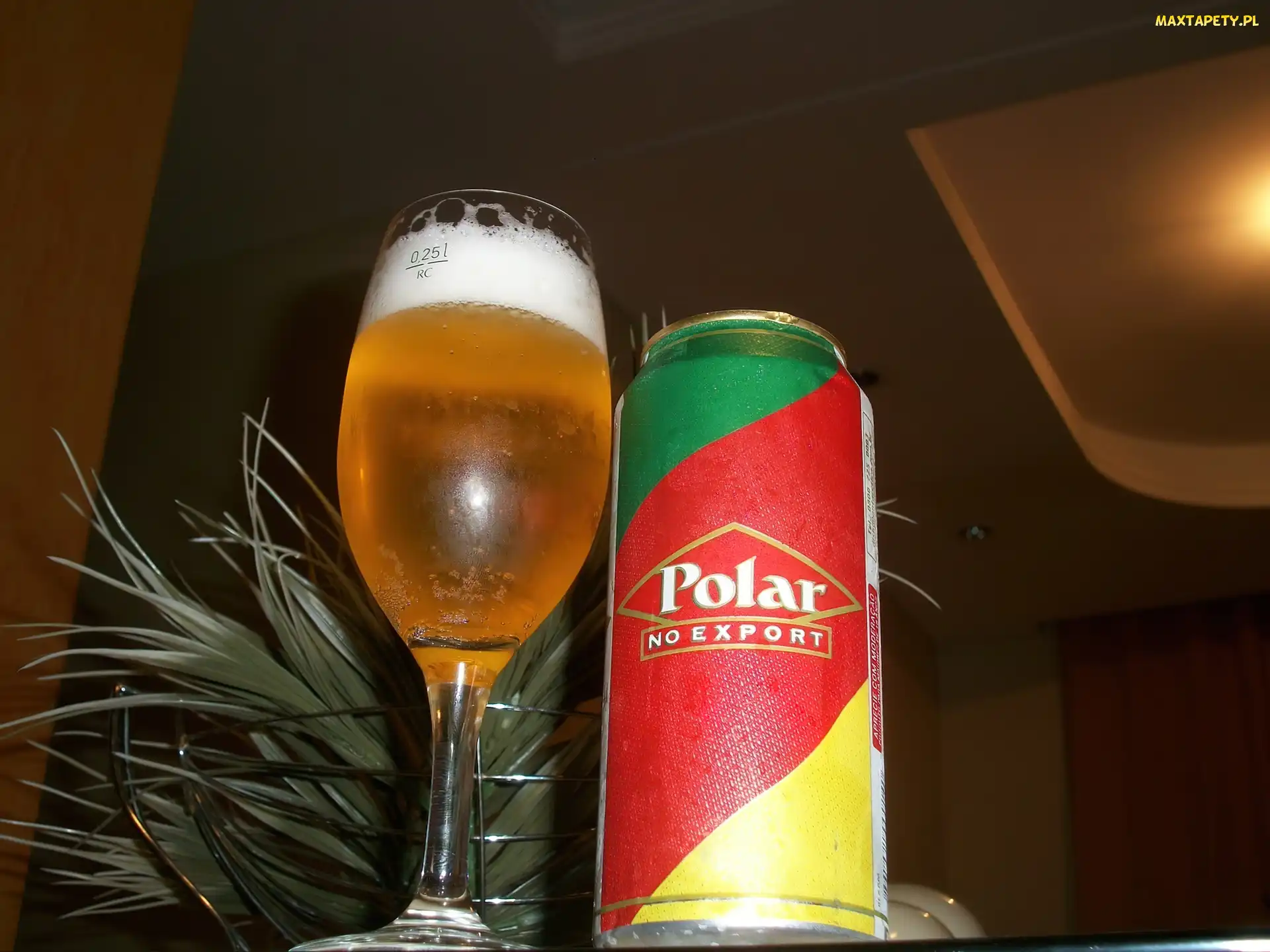 Puszka, Pucharek, Piwo