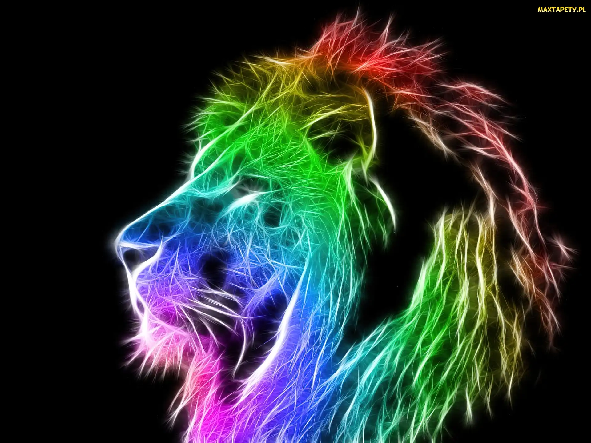 Kolory, Fractalius, Lew