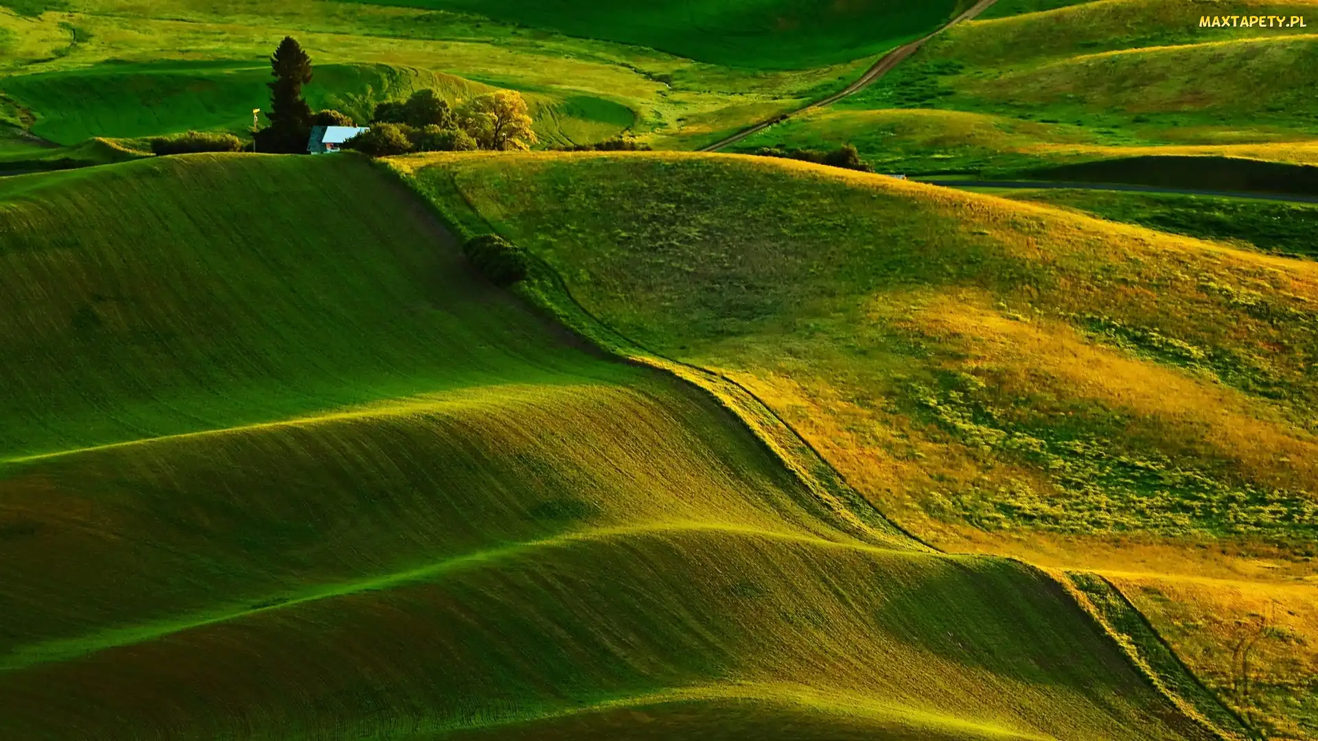 Zielone, Pola, Wzgórza, Pofalowane