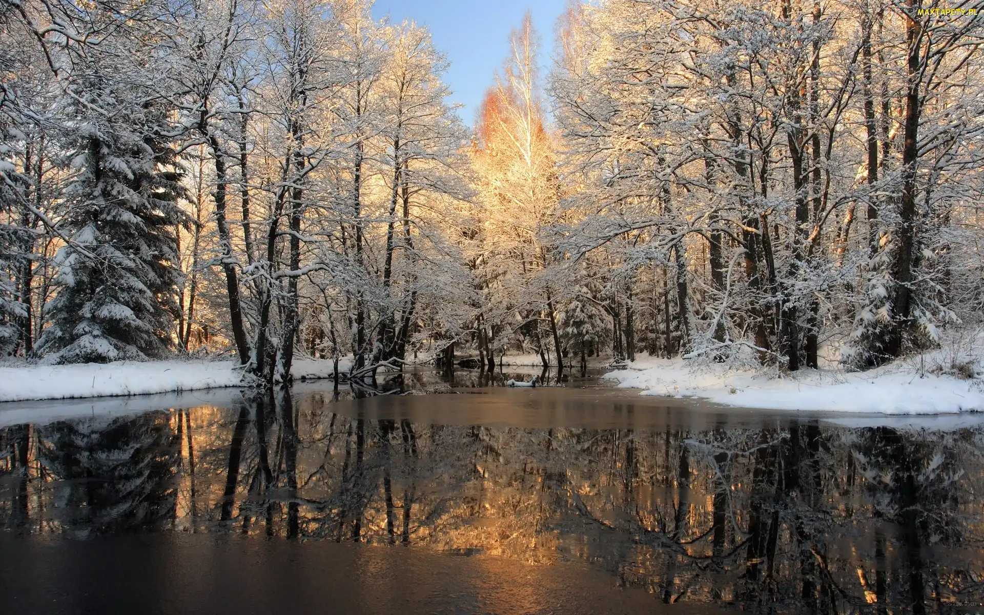 Śnieg, Drzewa, Rzeka
