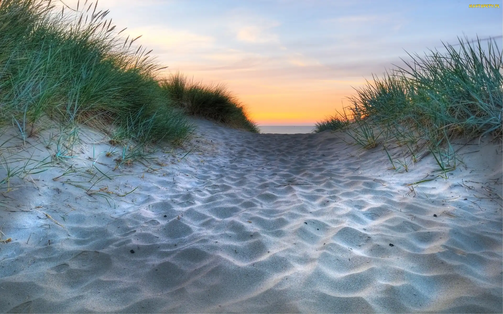 Trawa, Morska, Niebo, Plaża