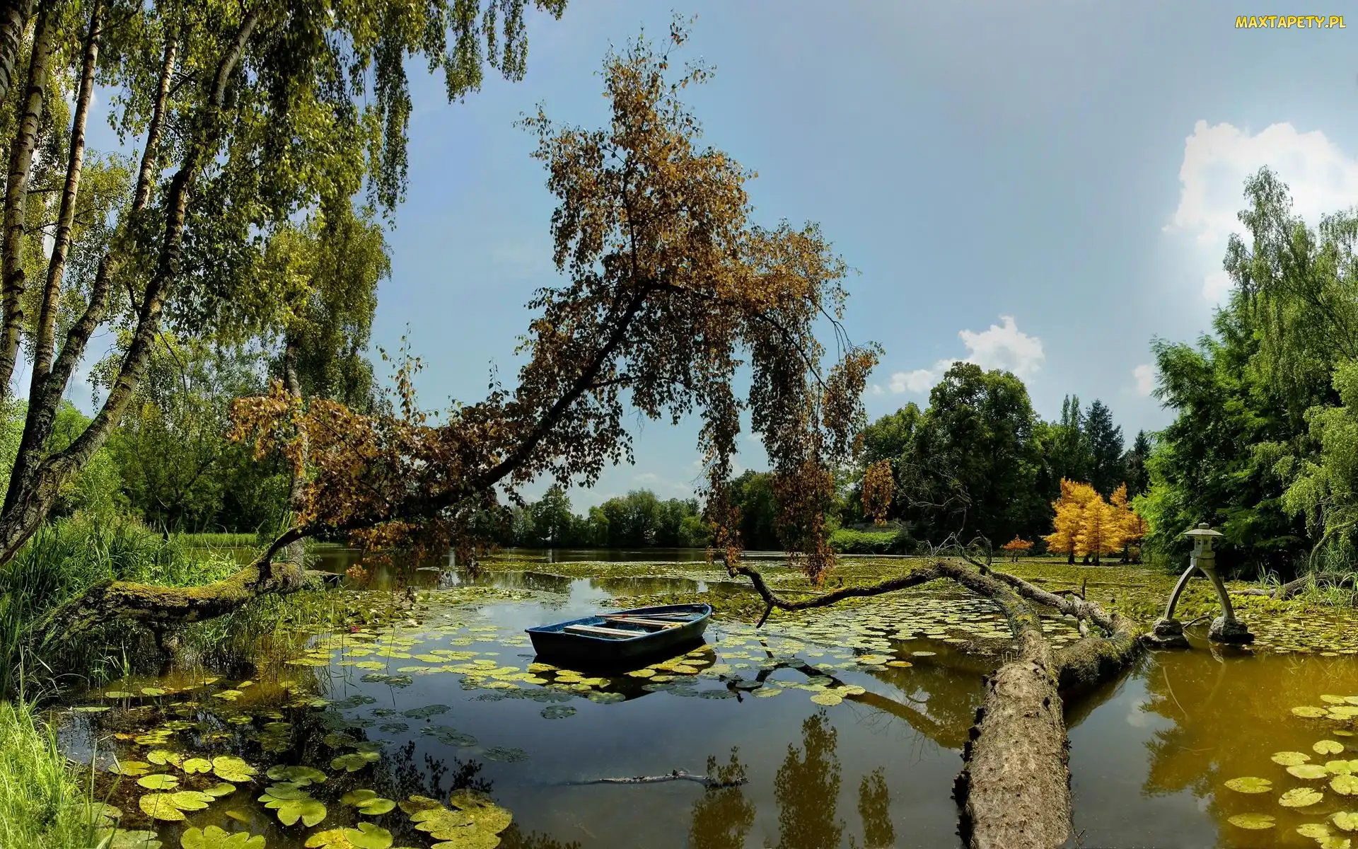 Drzewa, Łódz, Lato, Staw