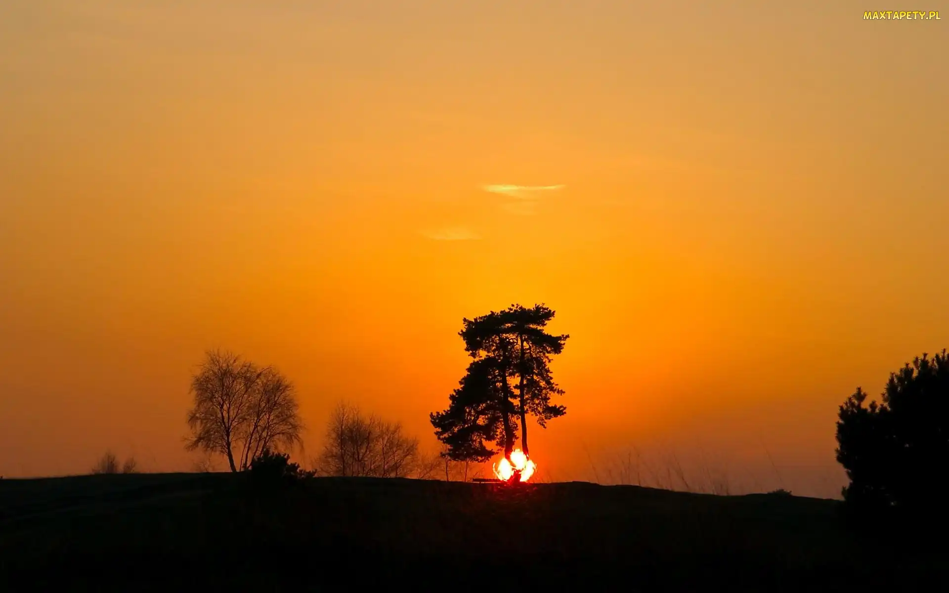 Słońca, Drzewa, Zachód