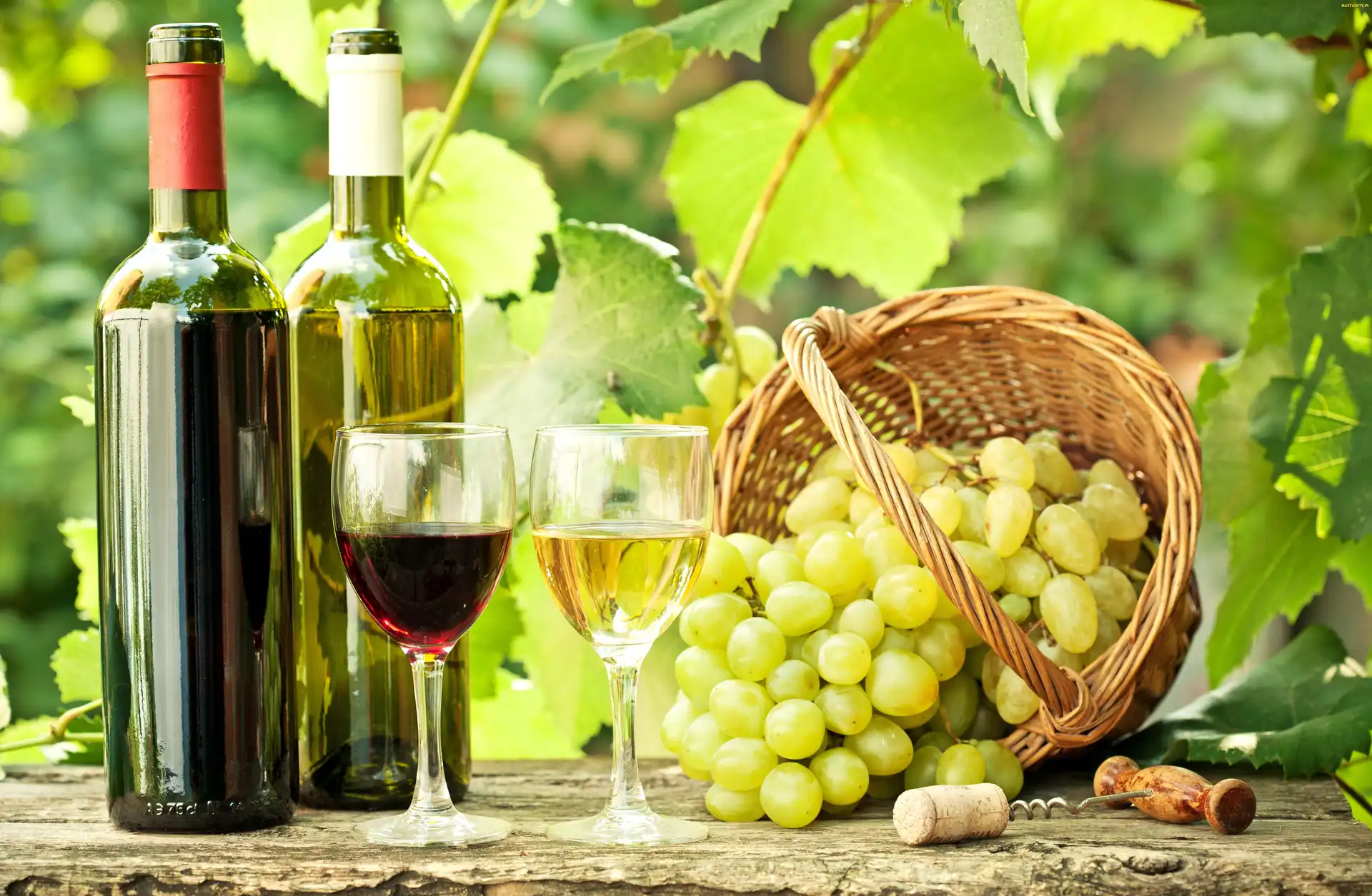 Kieliszki, Winogrona, Butelki, Wina