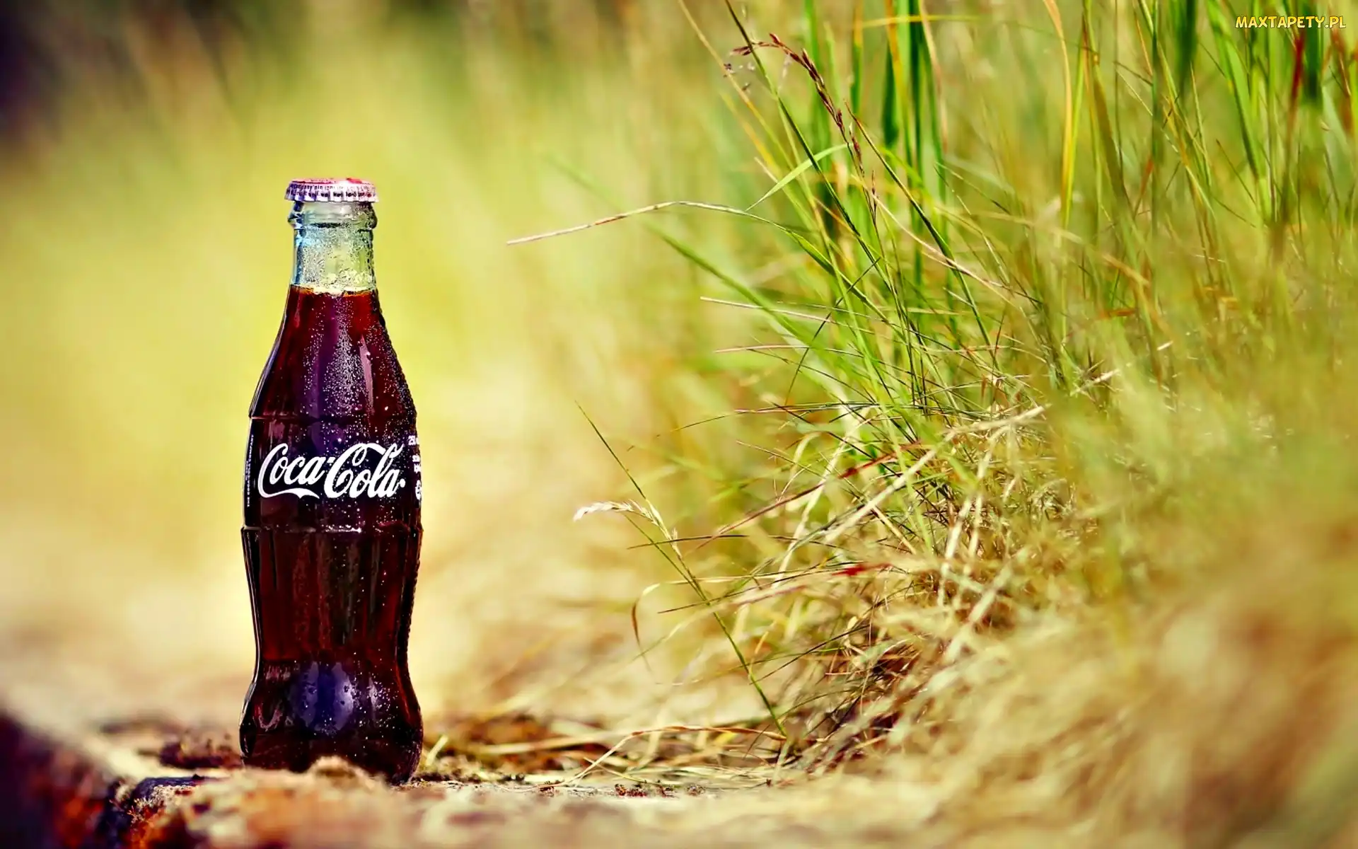 Coca Cola, Trawa, Butelka