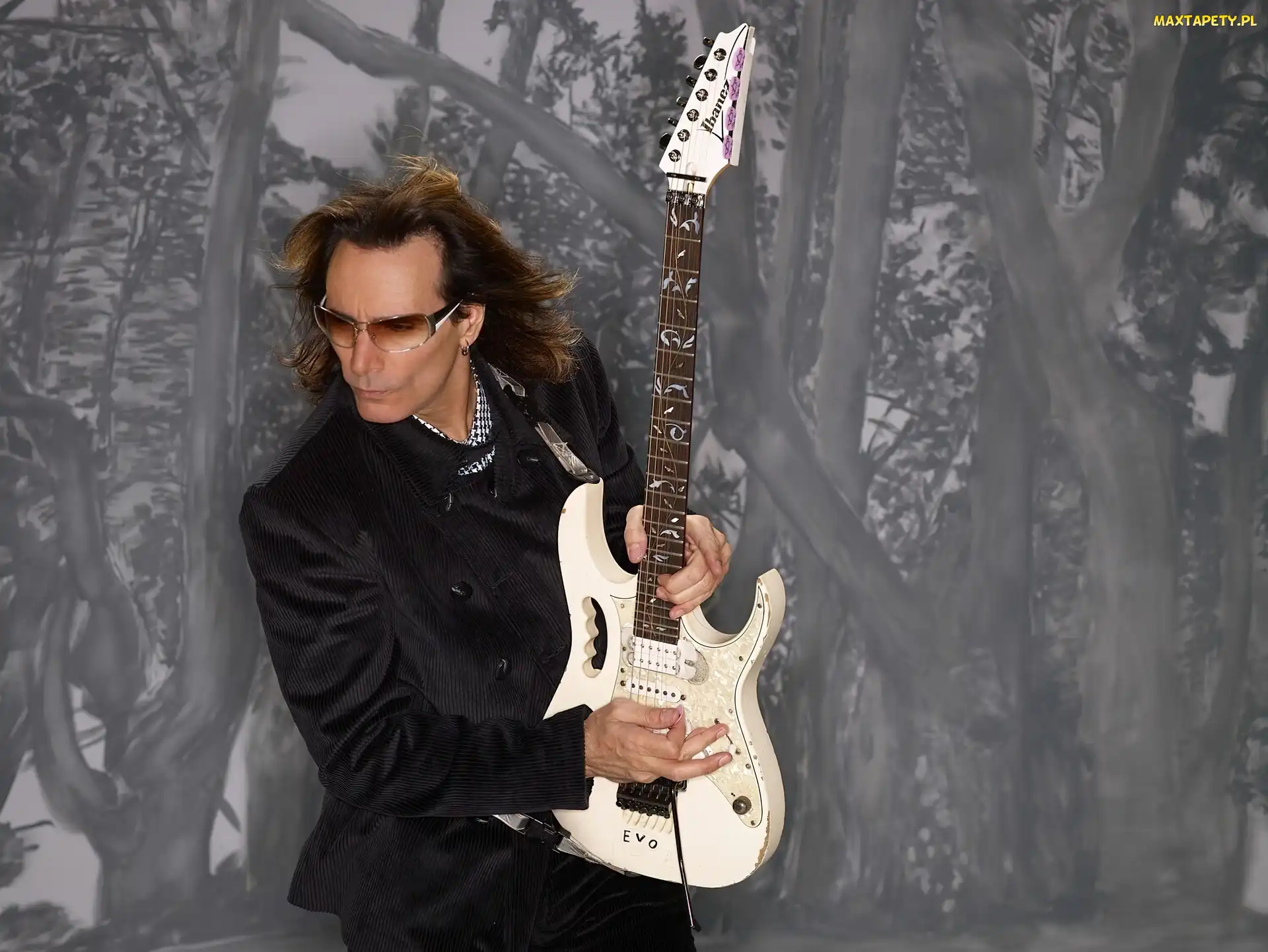 Muzyk, Wirtuoz, Steve Vai, Gitara