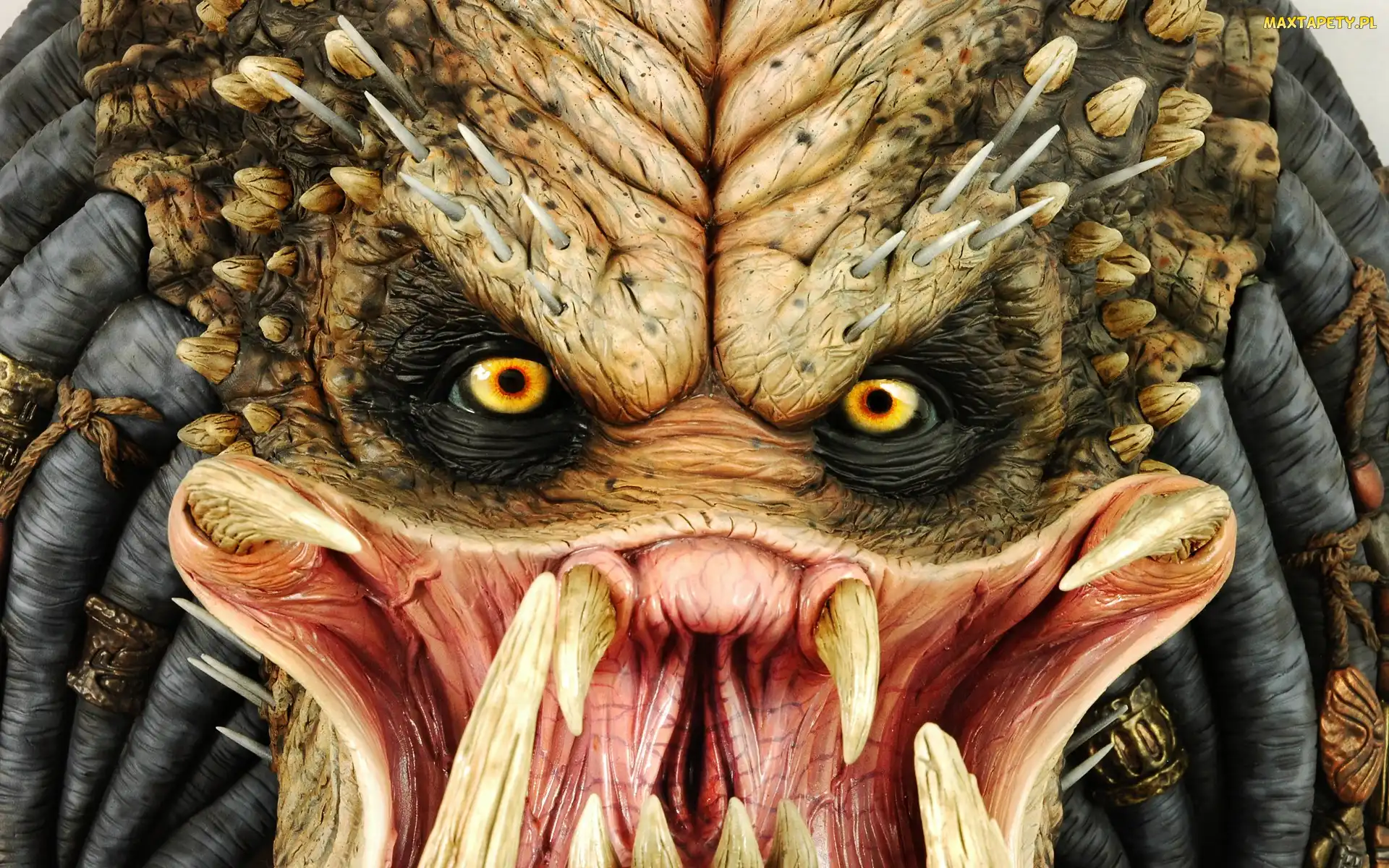 Kły, Drapieżca, Predator