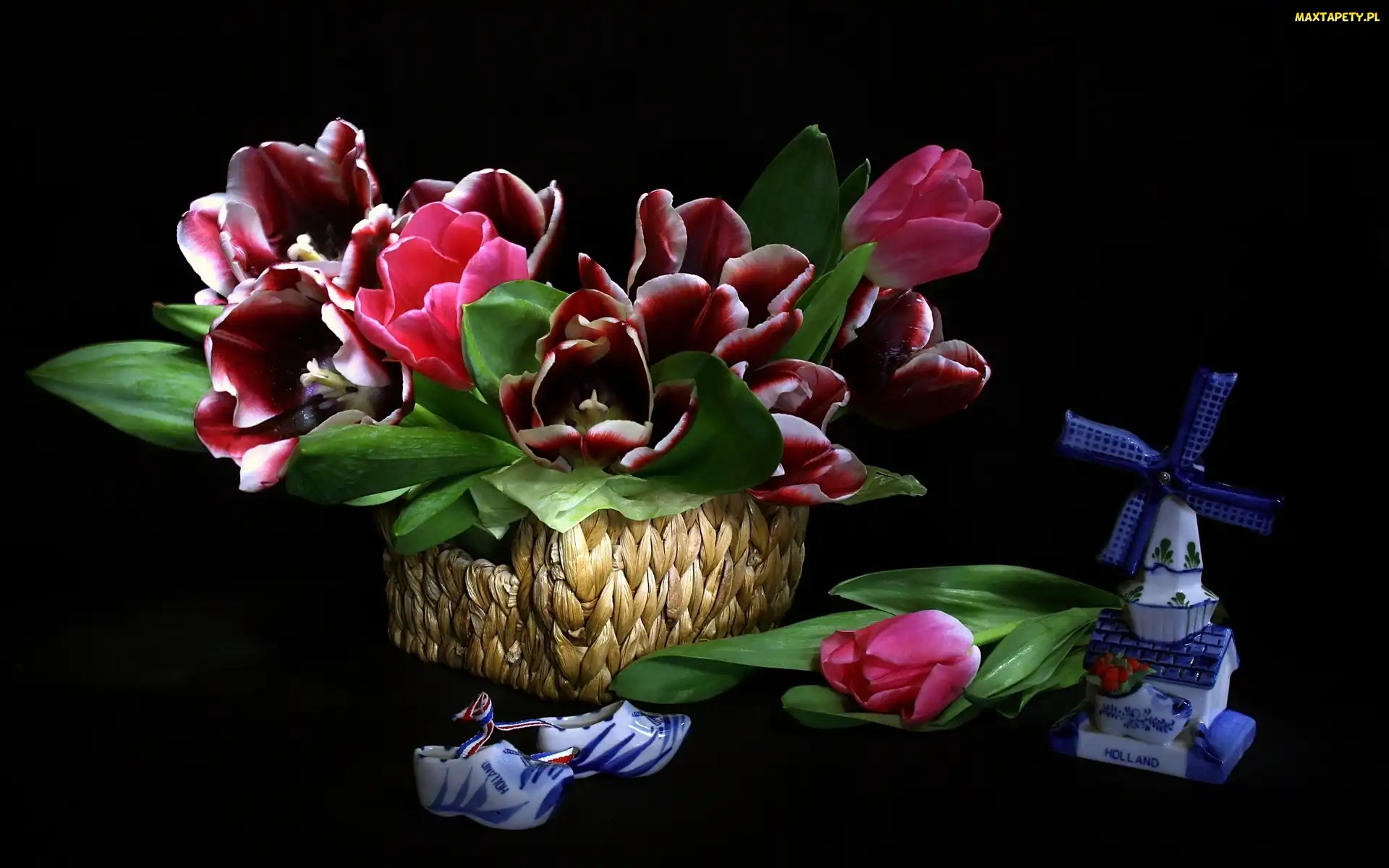 Kosz, Porcelana, Tulipany