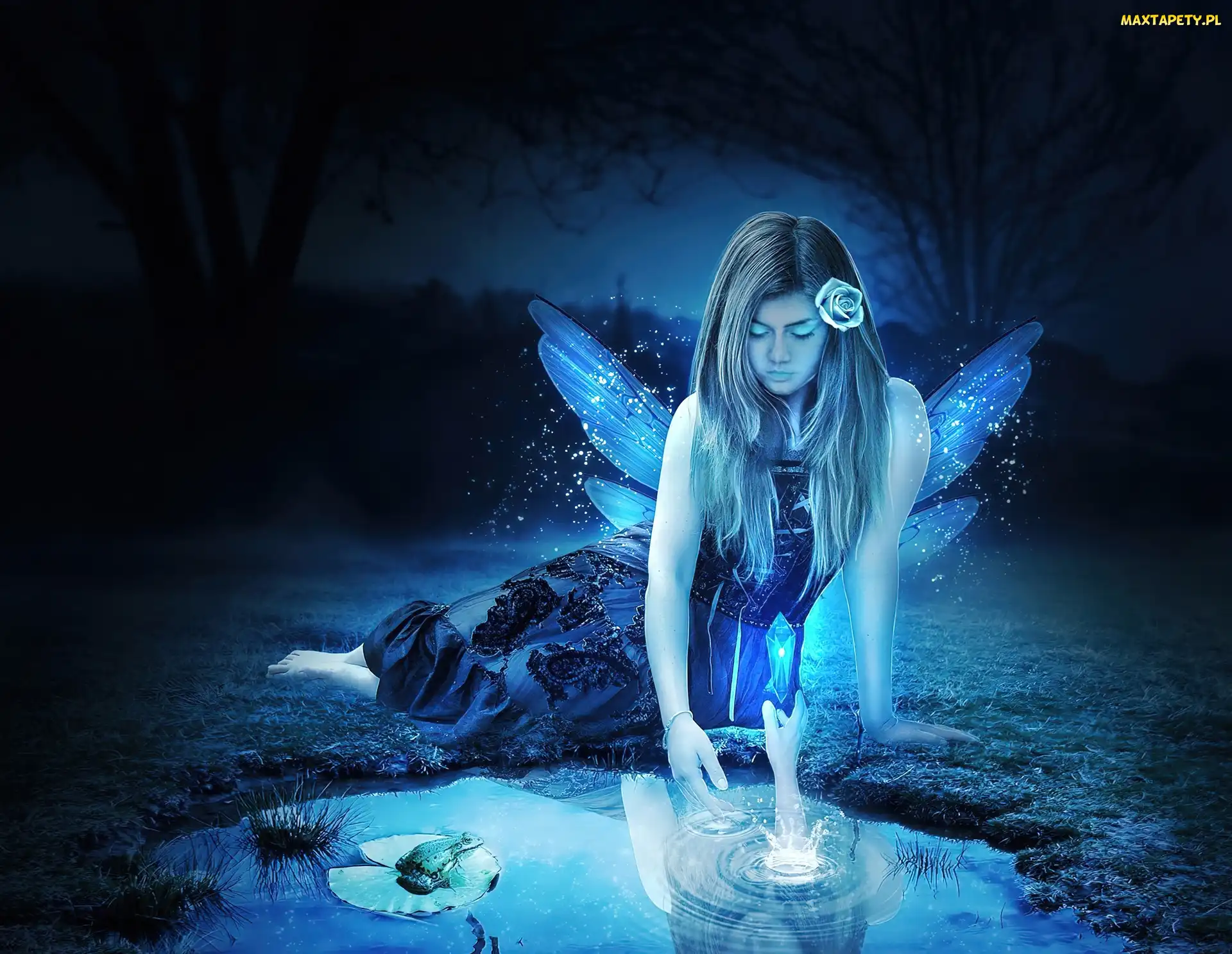 Wróżka, Fantasy