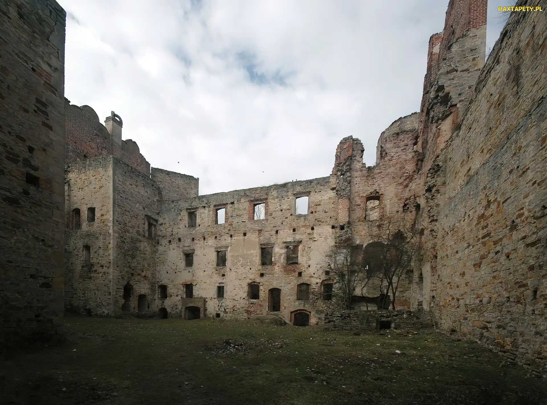 Ruiny, Drzewica
