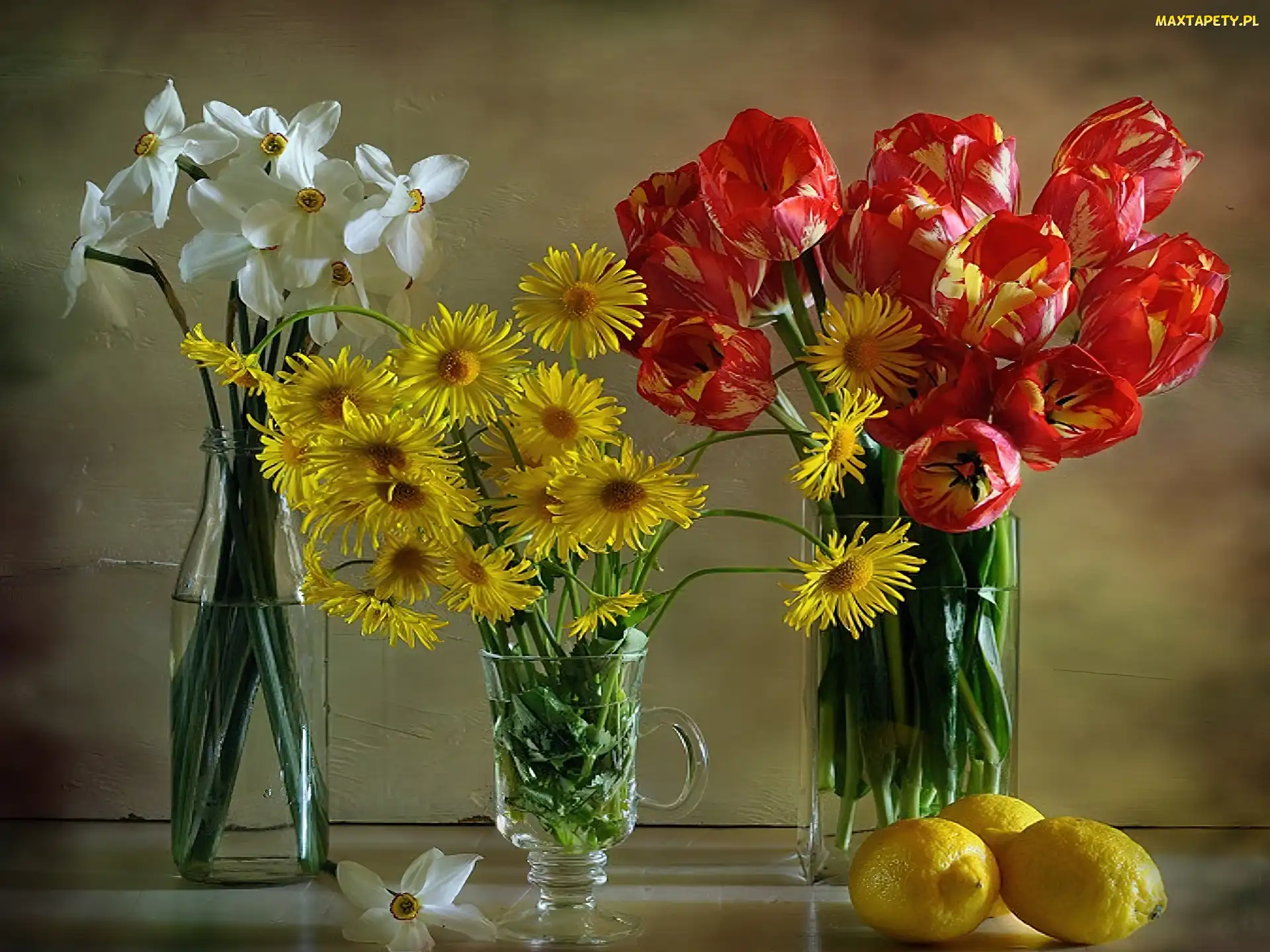 Tulipanów, Cytryny, Margerytek, Narcyzy, Bukiet