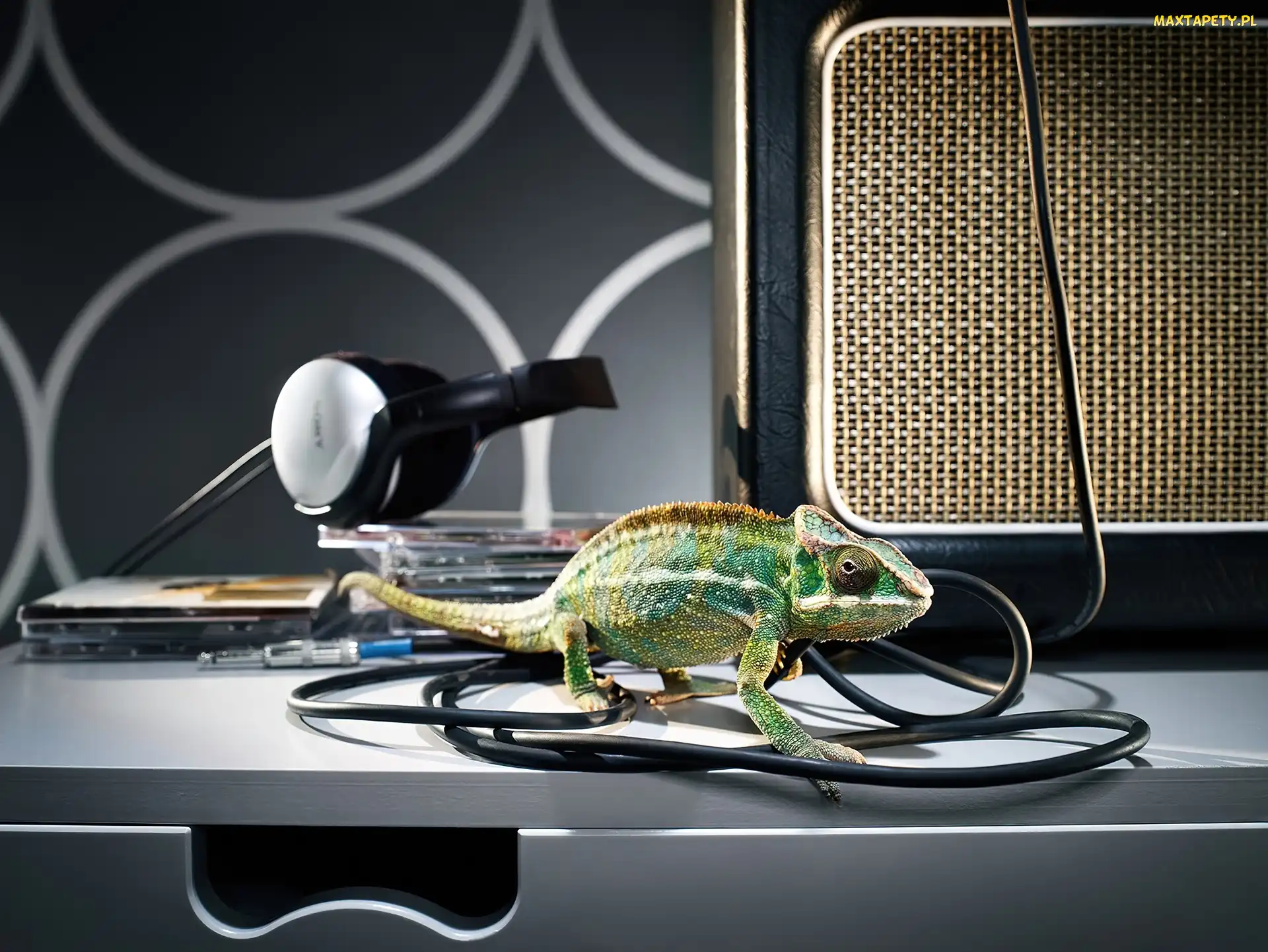 Kabel, Płyty, Kameleon, Słuchawki