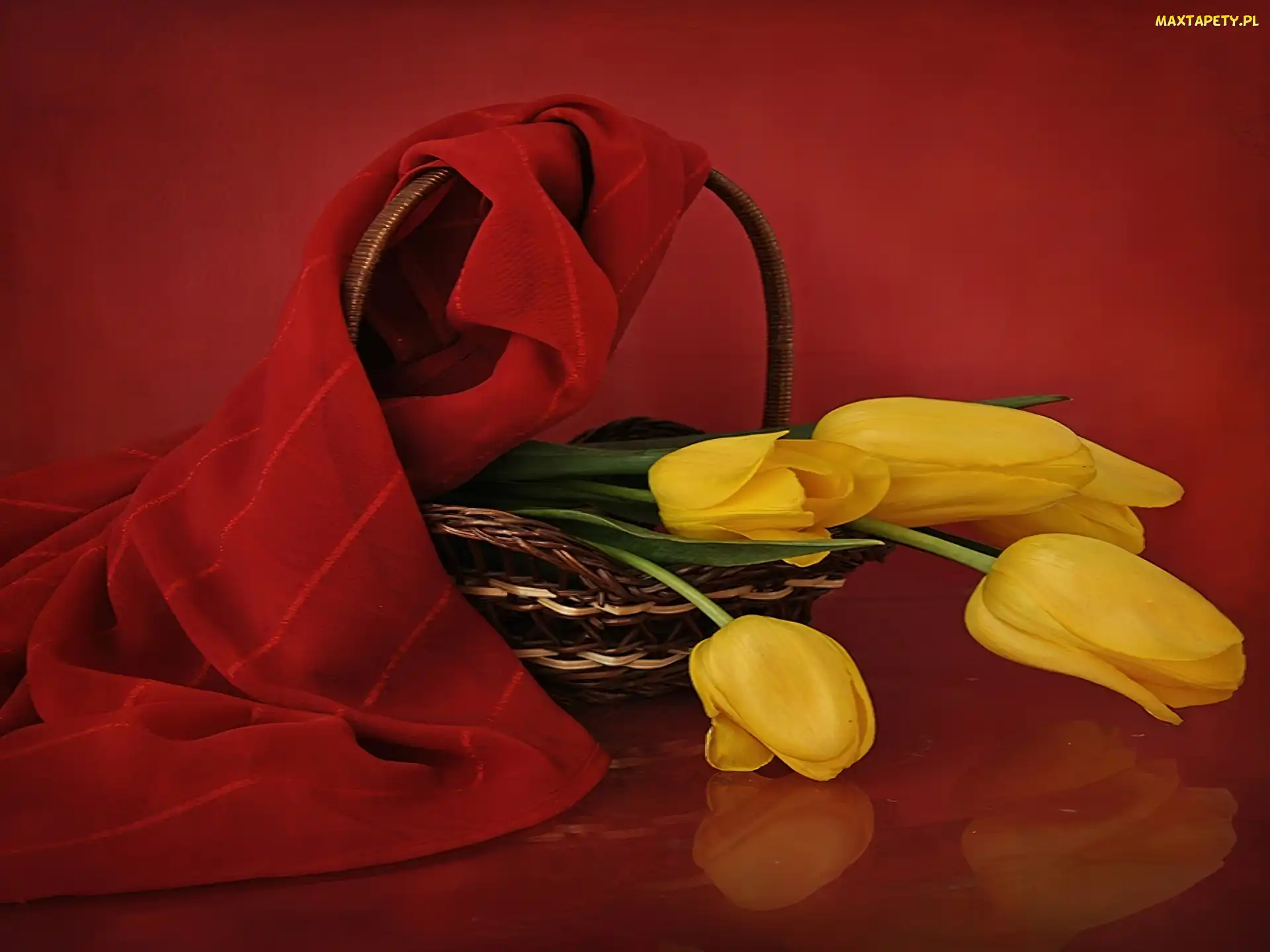 Tulipany, Szal, Czerwony, Koszyk, Żółte