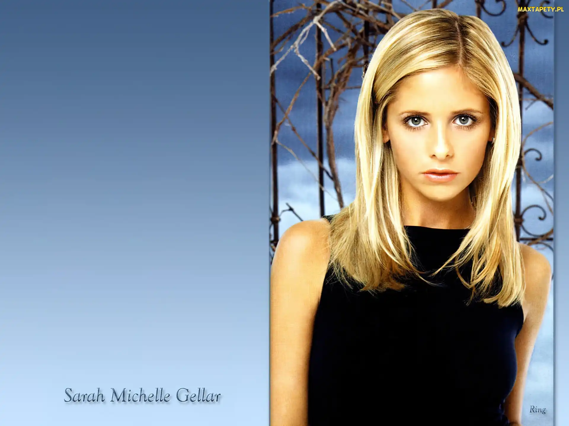 Sarah Michelle Gellar