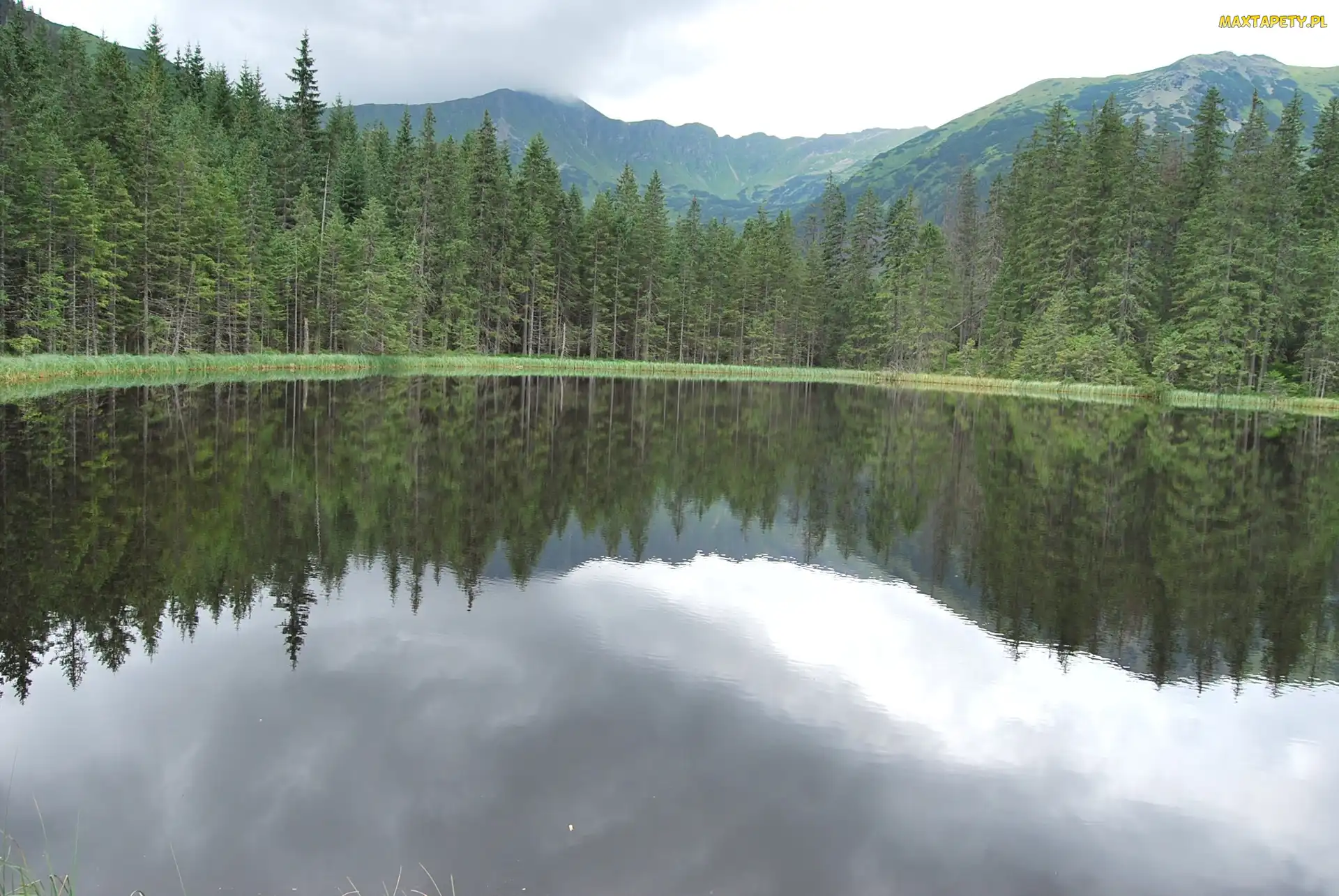 Tatry, Staw Smreczyński, Góry