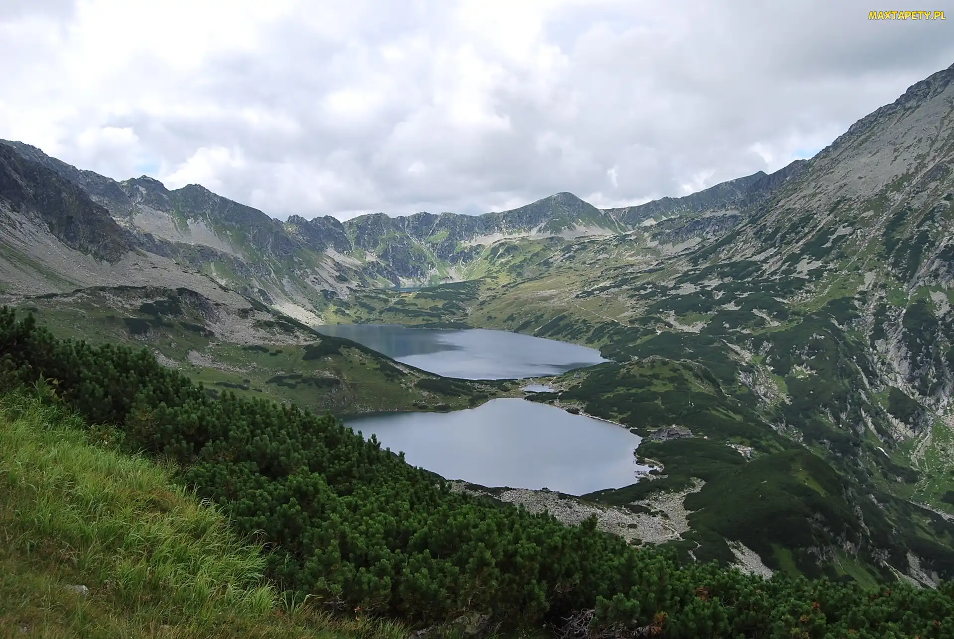 Dolina Pięciu Stawów, Jeziora, Tatry
