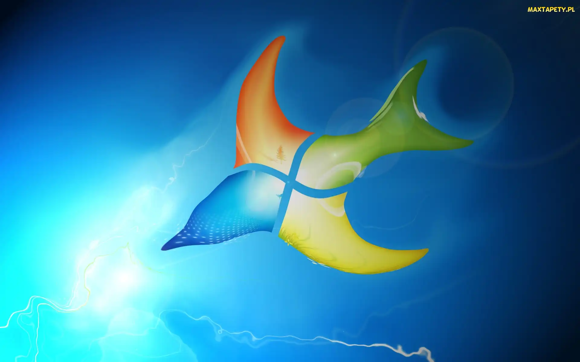 Ptak, Windows, System, Operacyjny