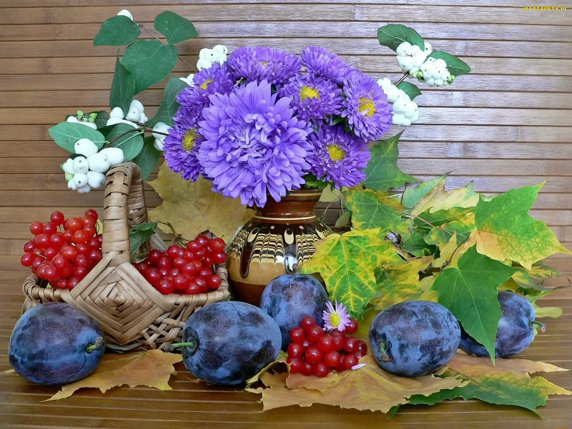 Astry, Liście, Porzeczki, Śliwki, Bukiet