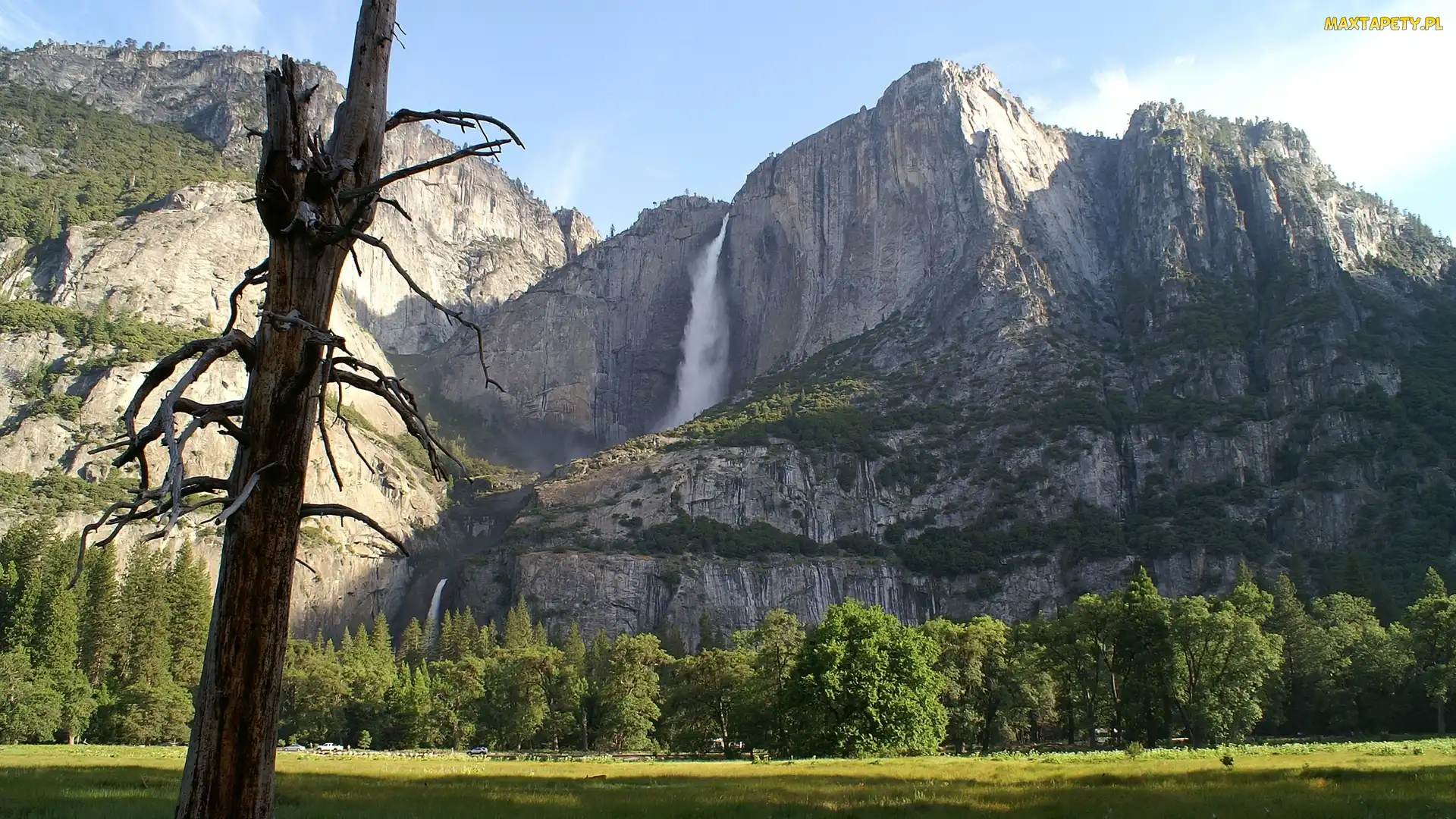 Góry, Łąka, Stan Kalifornia, Stany Zjednoczone, Park Narodowy Yosemite, Drzewa