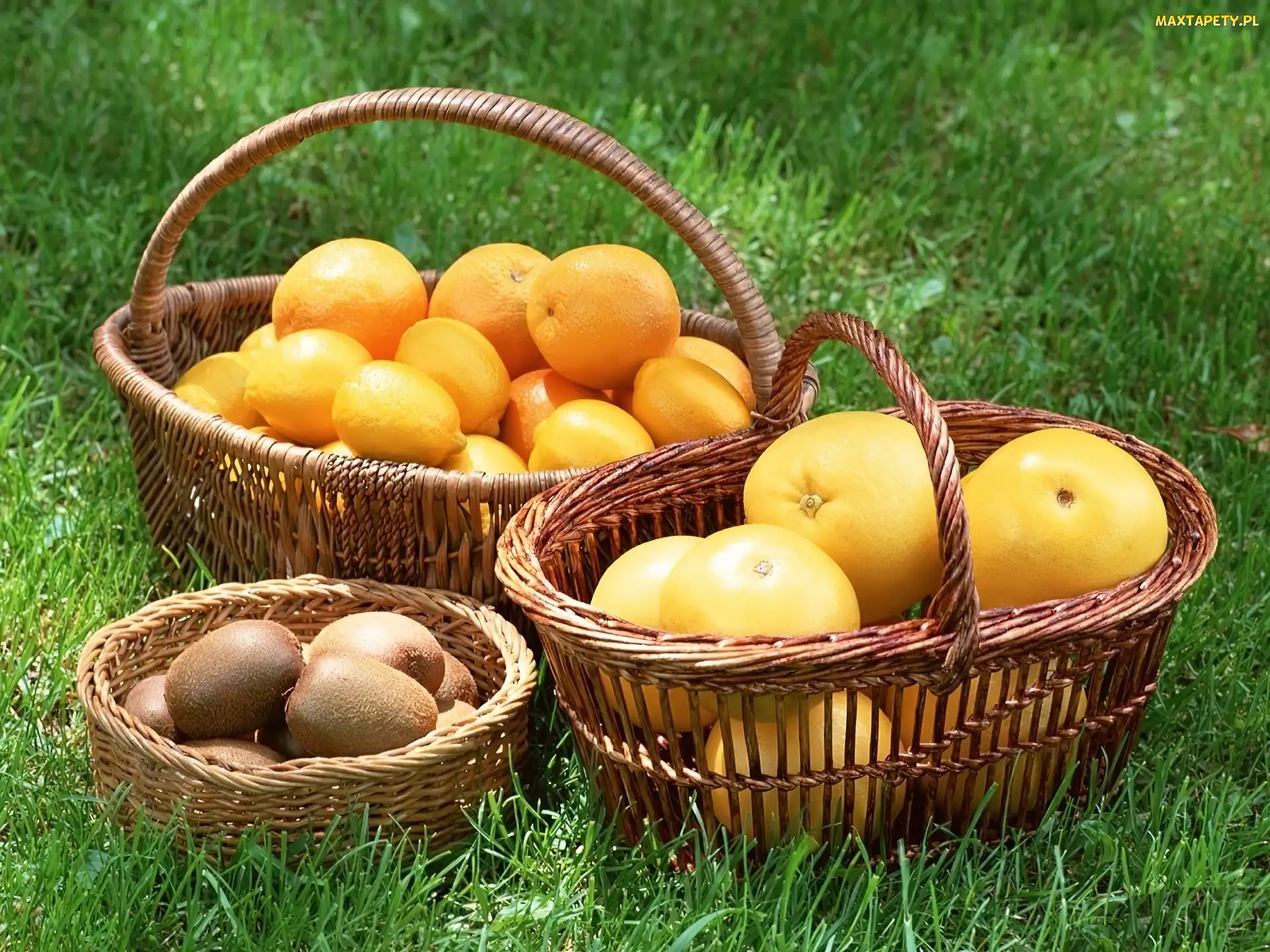 Kosze, Grejpfruty, Kiwi, Cytryny, Wiklinowe