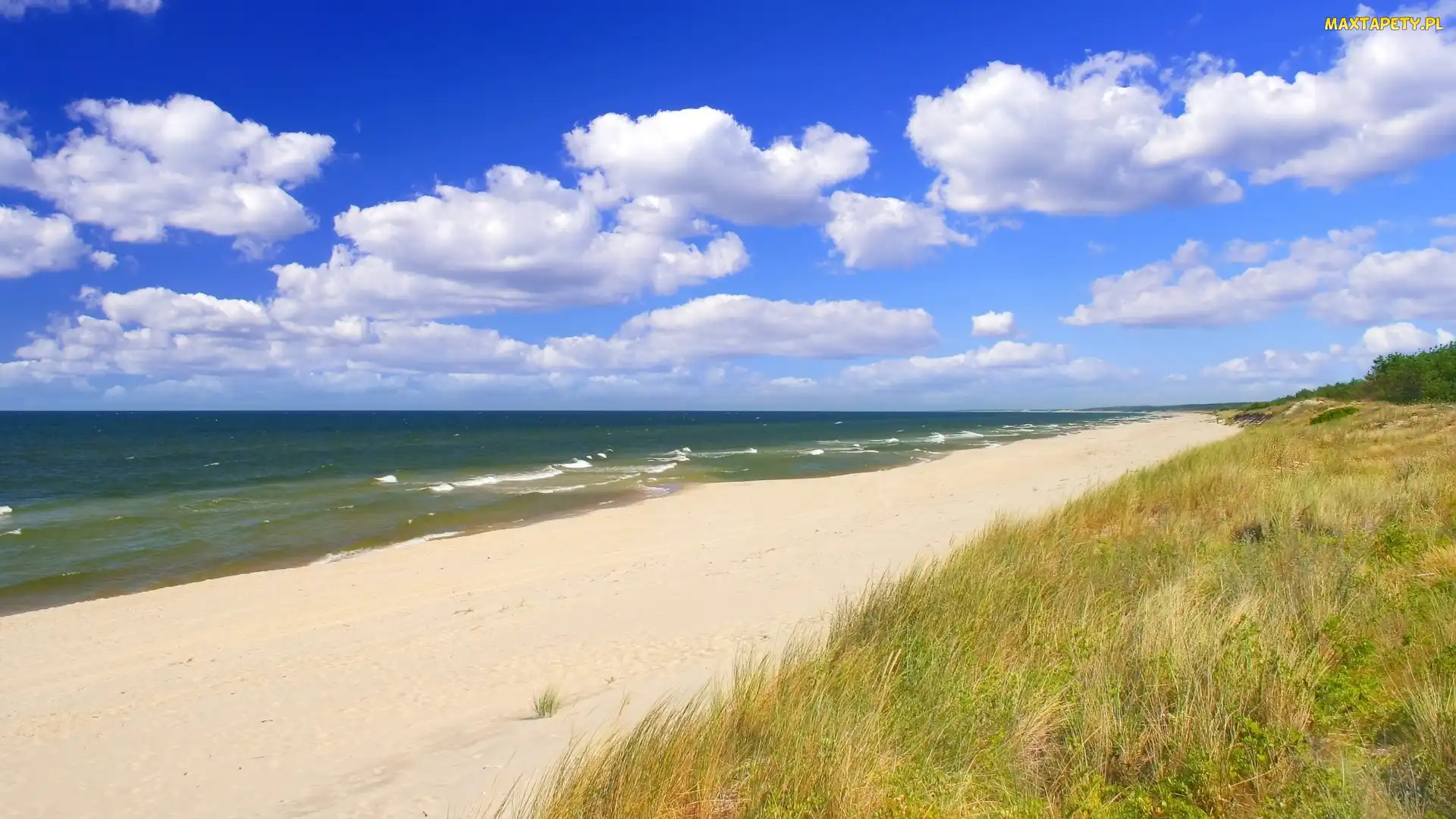 Fale, Trawa, Piasek, Plaża, Morze