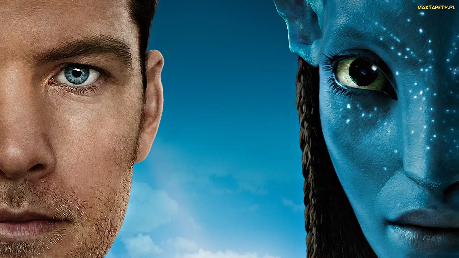 Twarze, Avatar