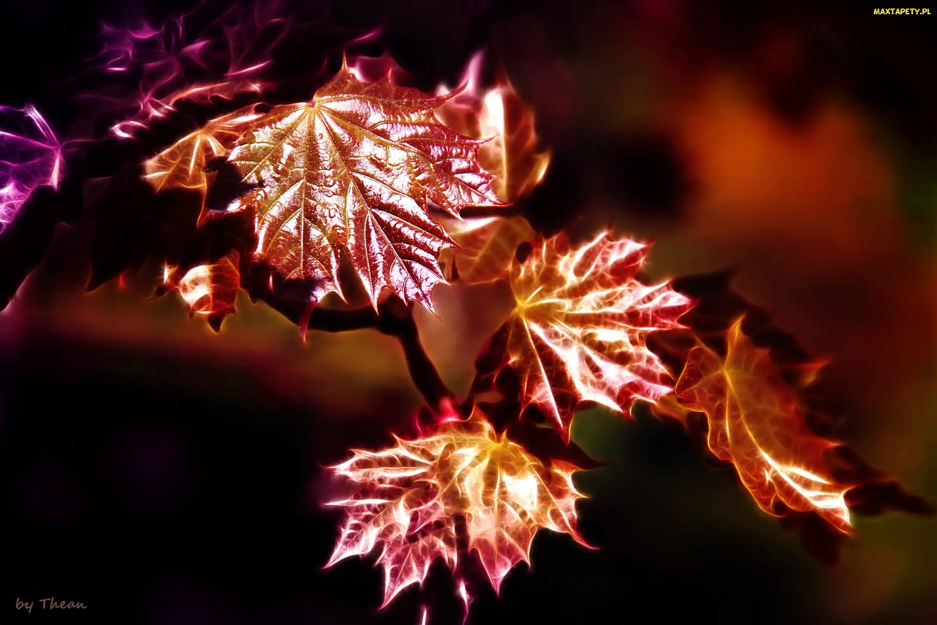 Fractalius, Liście