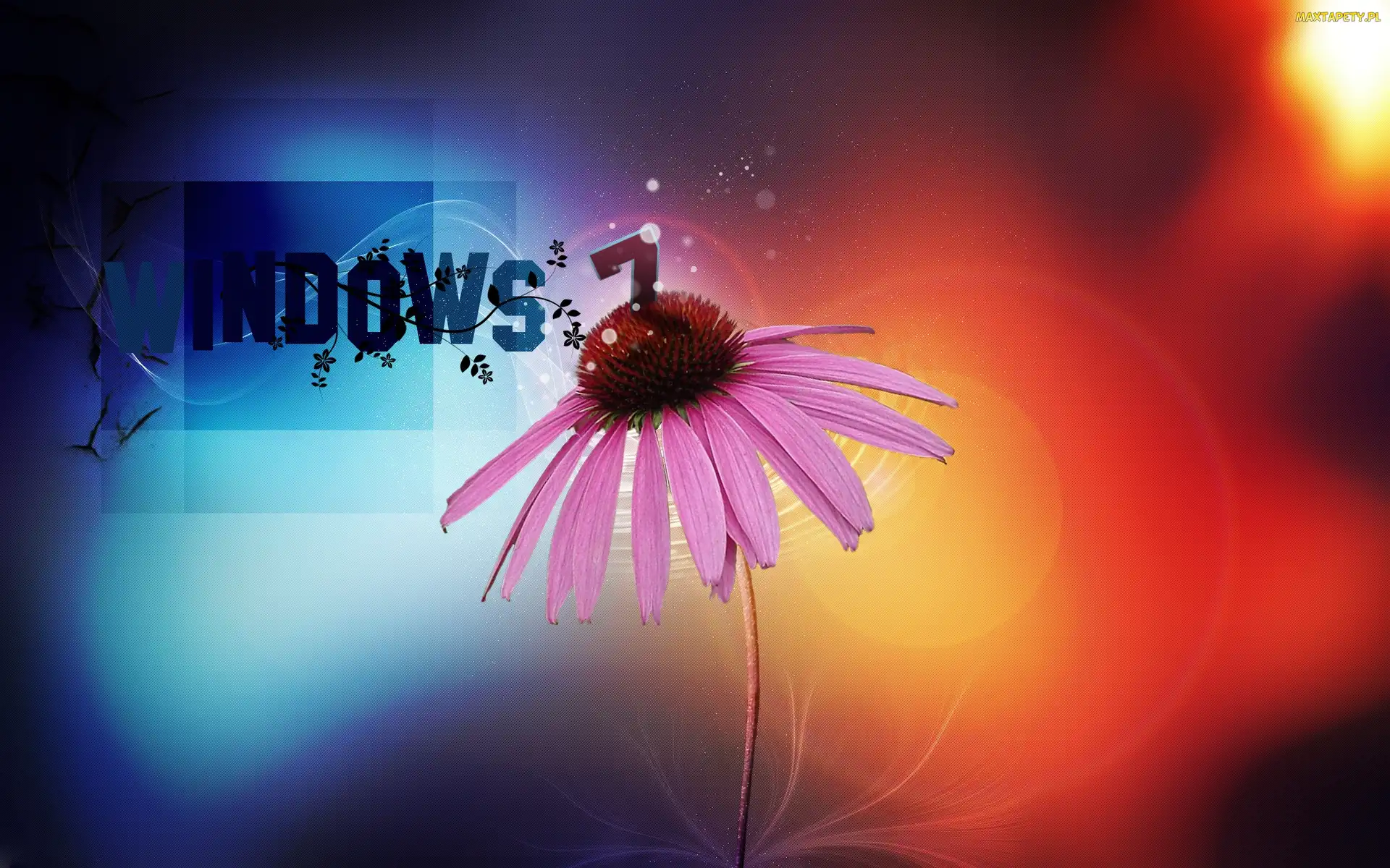 Operacyjny, Windows, System