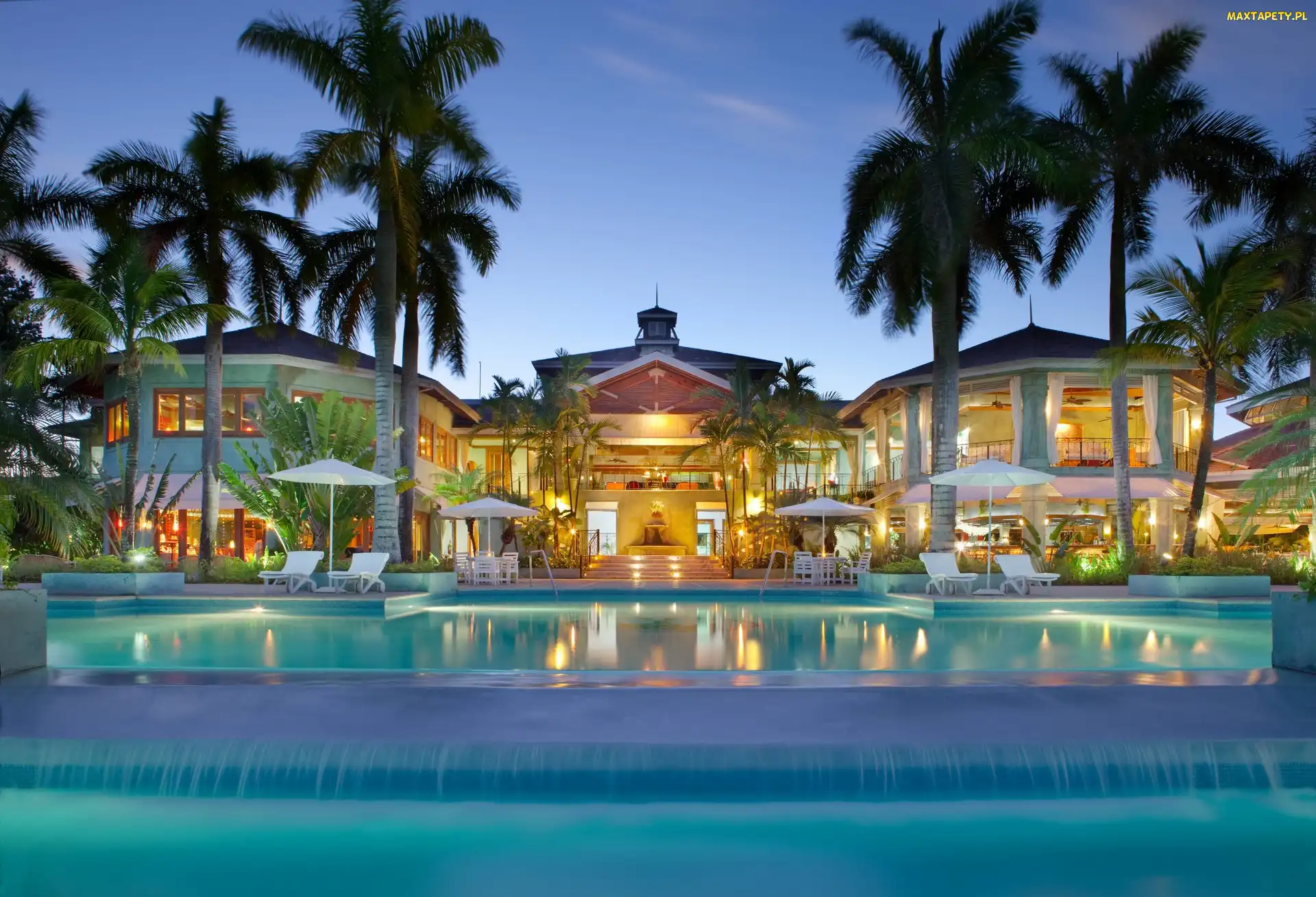 Basen, Palmy, Hotel