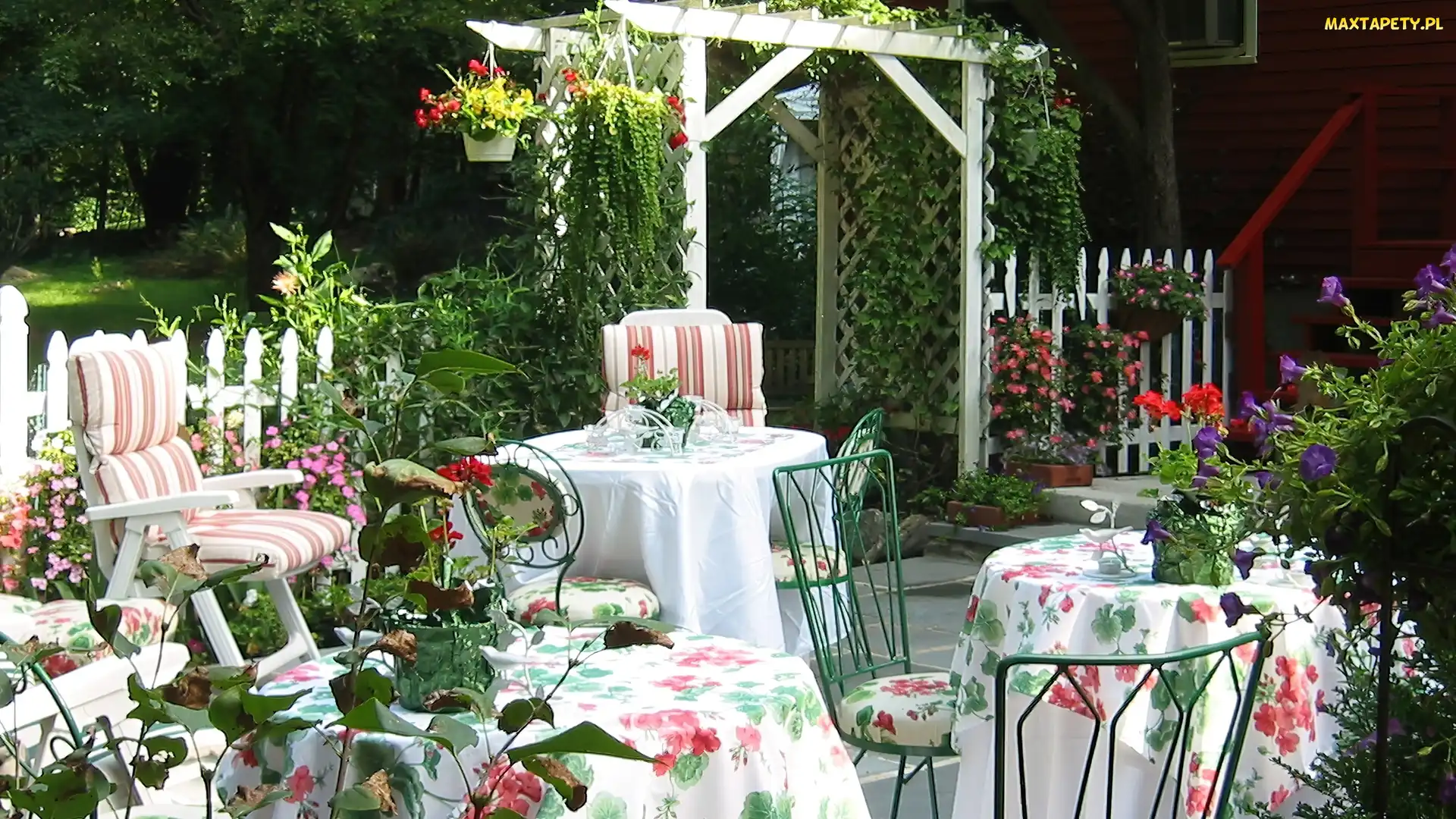 Stoliki, Pergola, Ogród