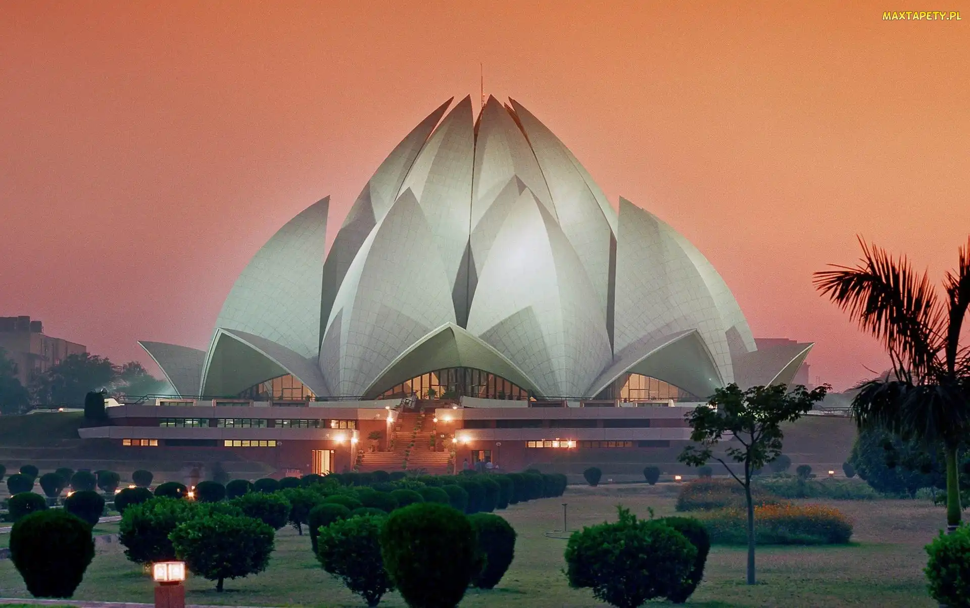 Delhi, Drzewka, Lotos