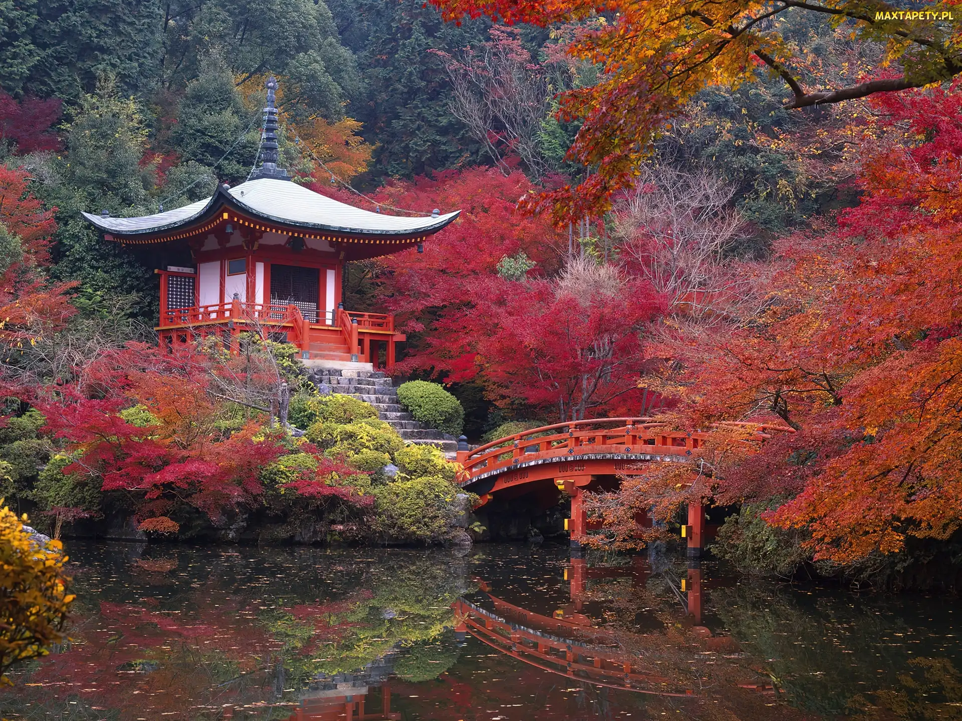 Kyoto, Mostek, Woda, Park