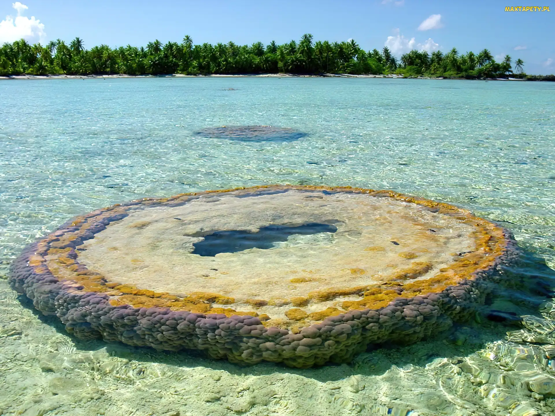 Atoll, Mały, Morze, Palmy