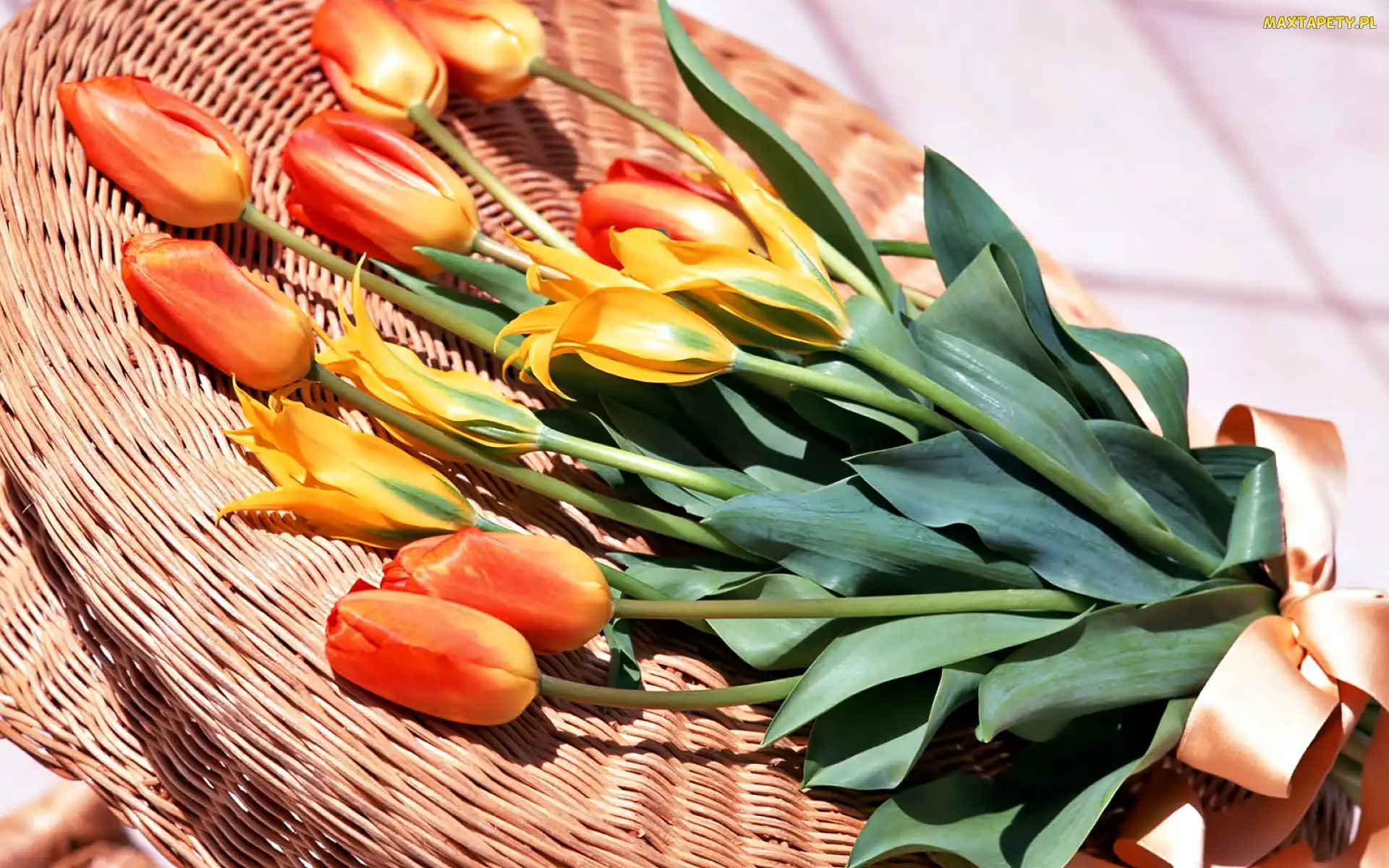 Tulipany, Kosz, Bukiet