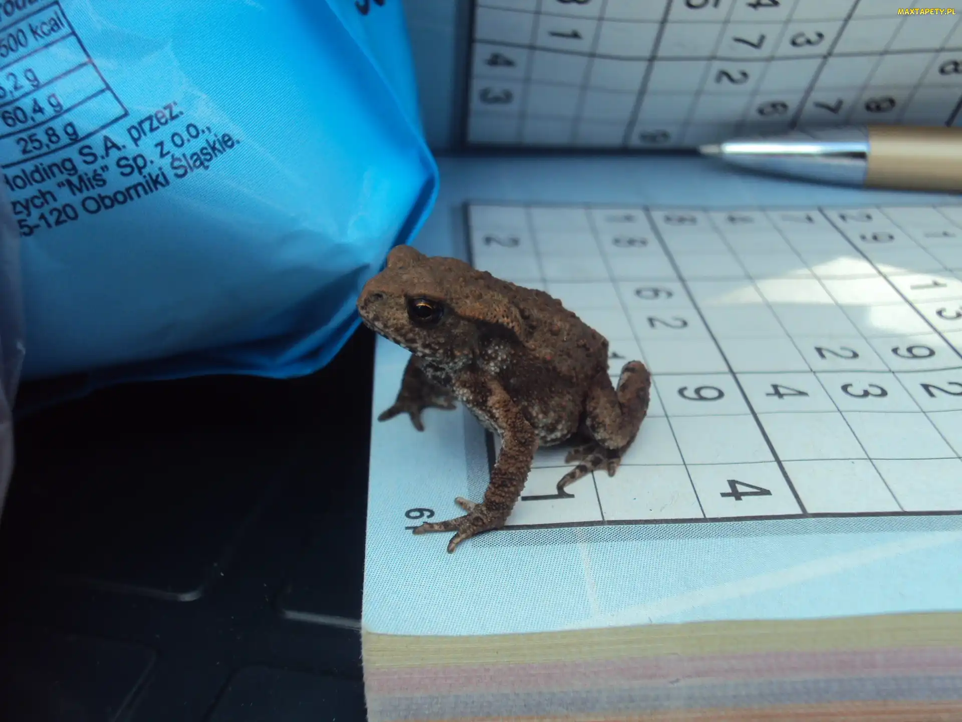 Sudoku, Ropucha