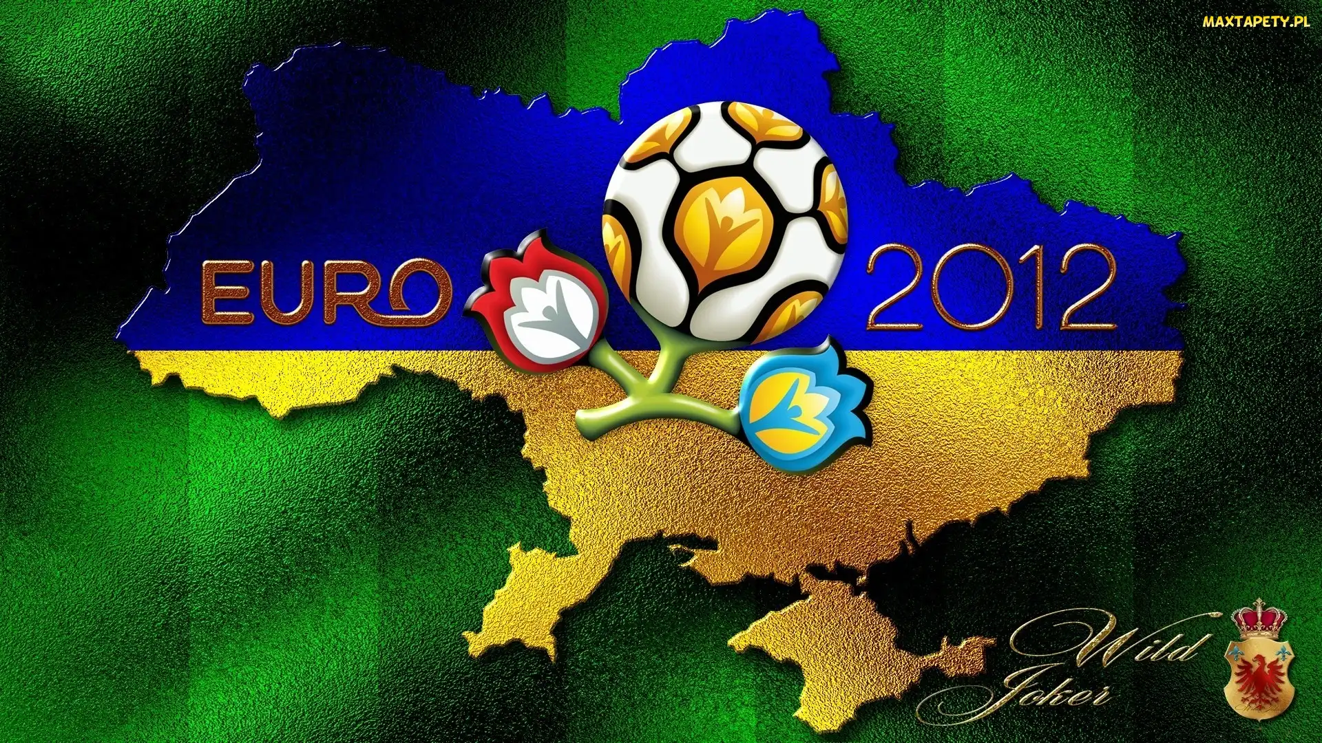Euro, Ukraina, Polska, 2012