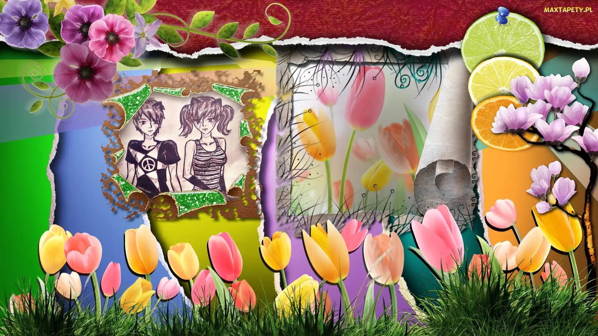 Trawa, Pomarańcz, Cytryna, Kwiaty, Tulipany
