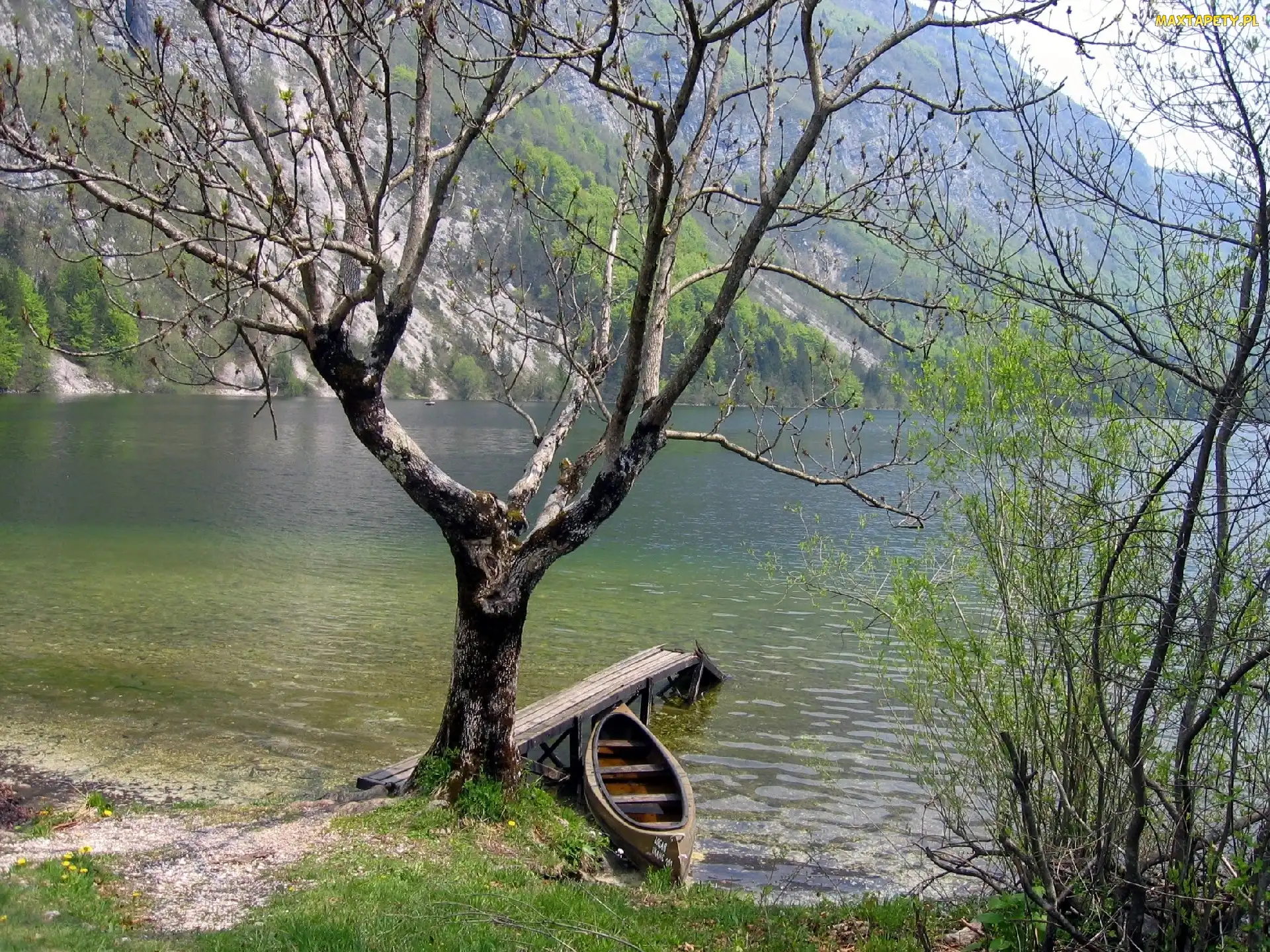 Drzewo, Łódka, Jezioro, Pomost