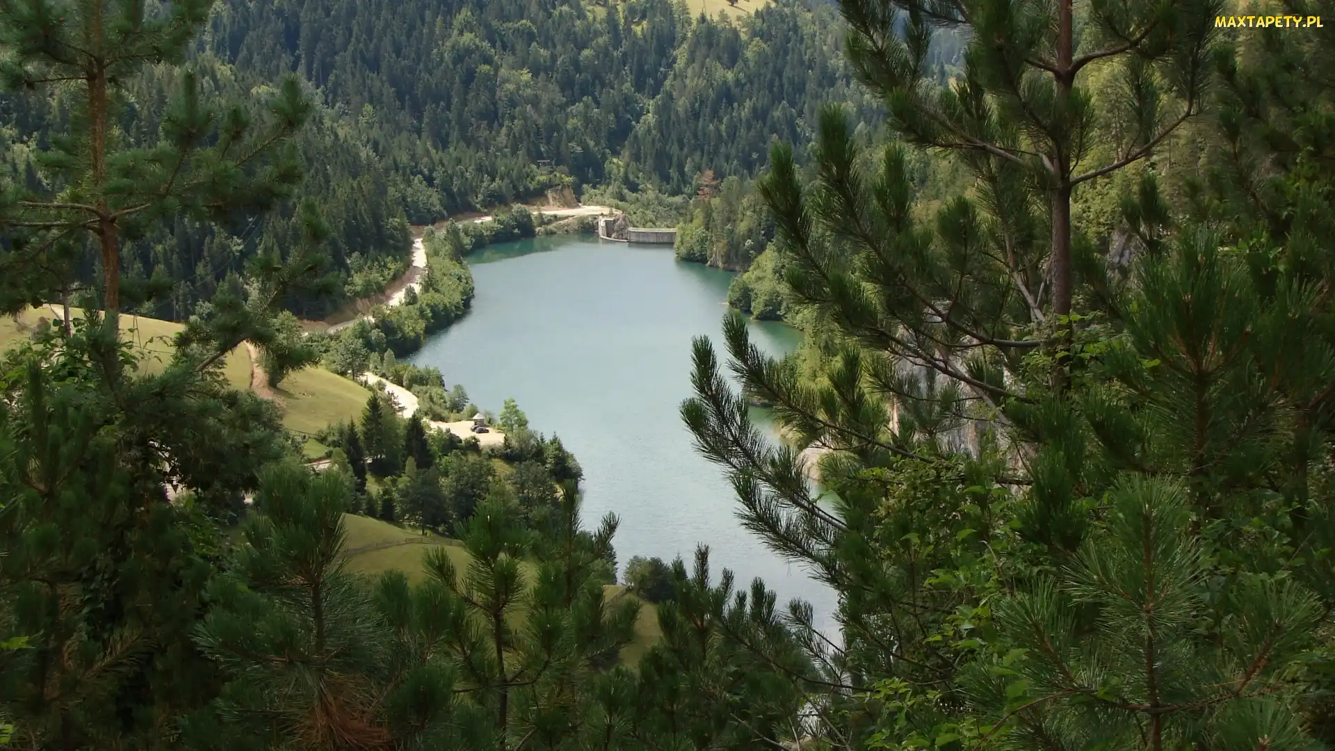 Las, Jezioro