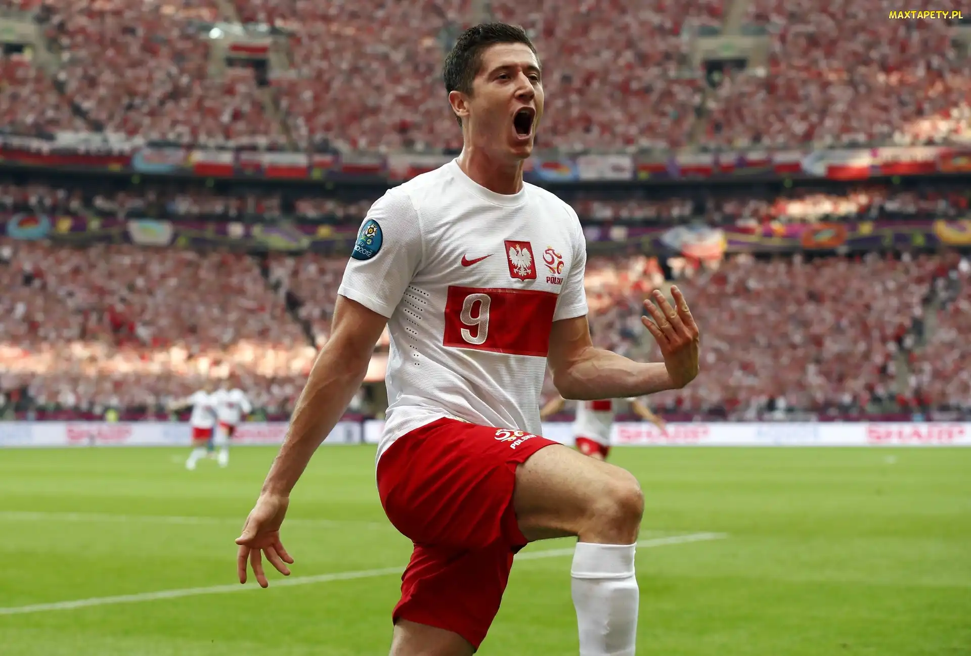 Grecja, Polska, Euro 2012, Mecz