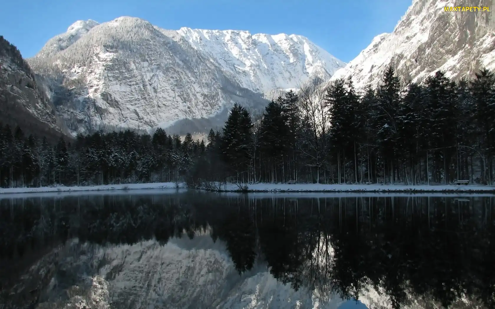 Las, Jezioro, Góry, Śnieg