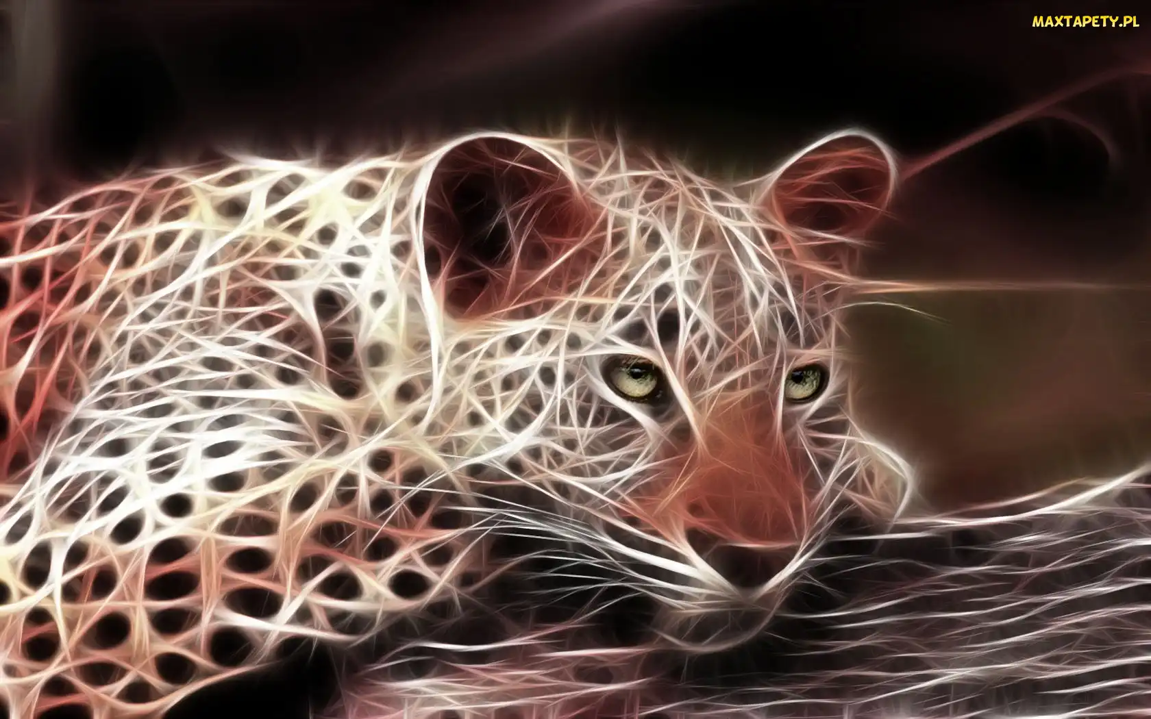 Gepard, Fraktal