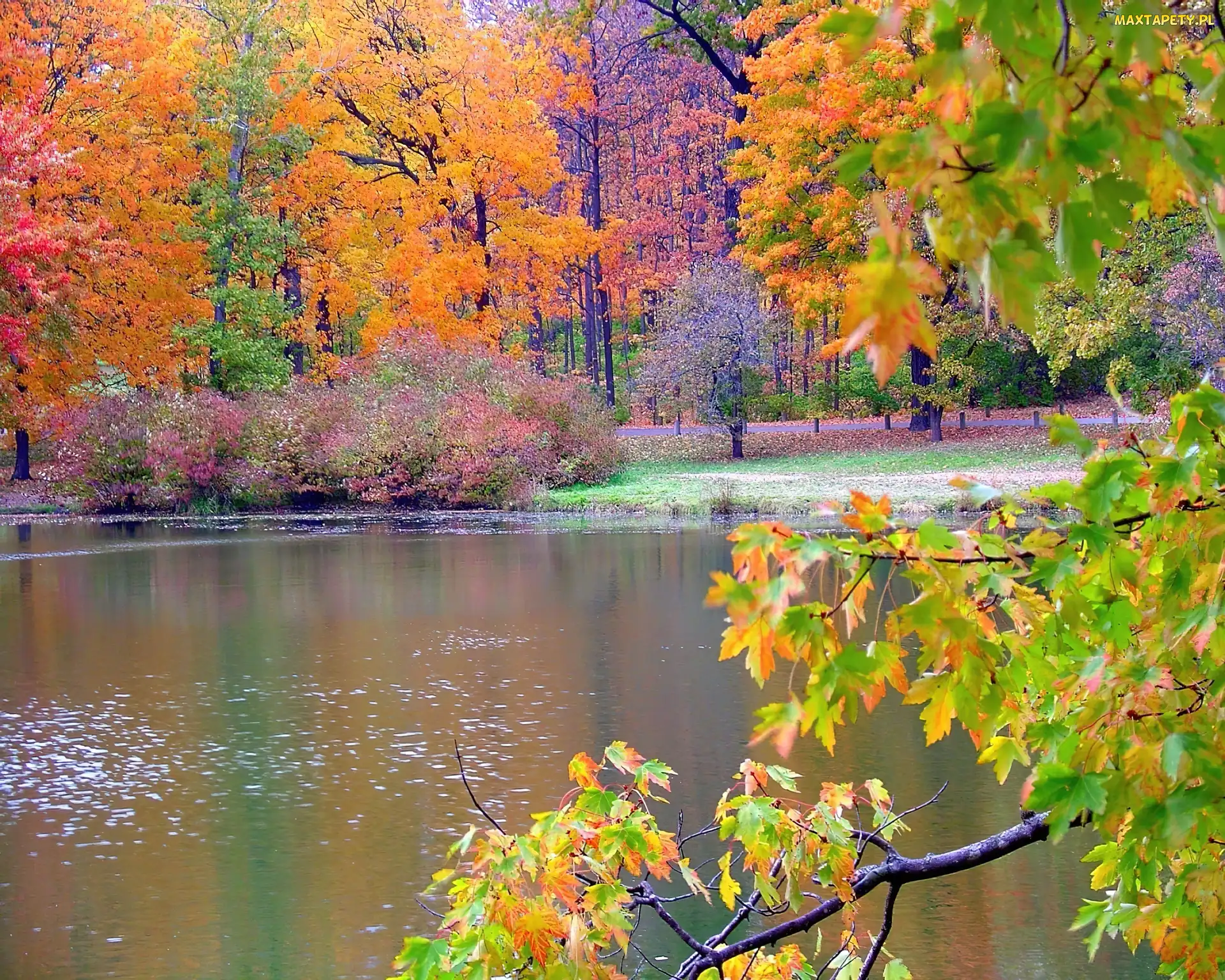 Jeziorko, Jesień, Park