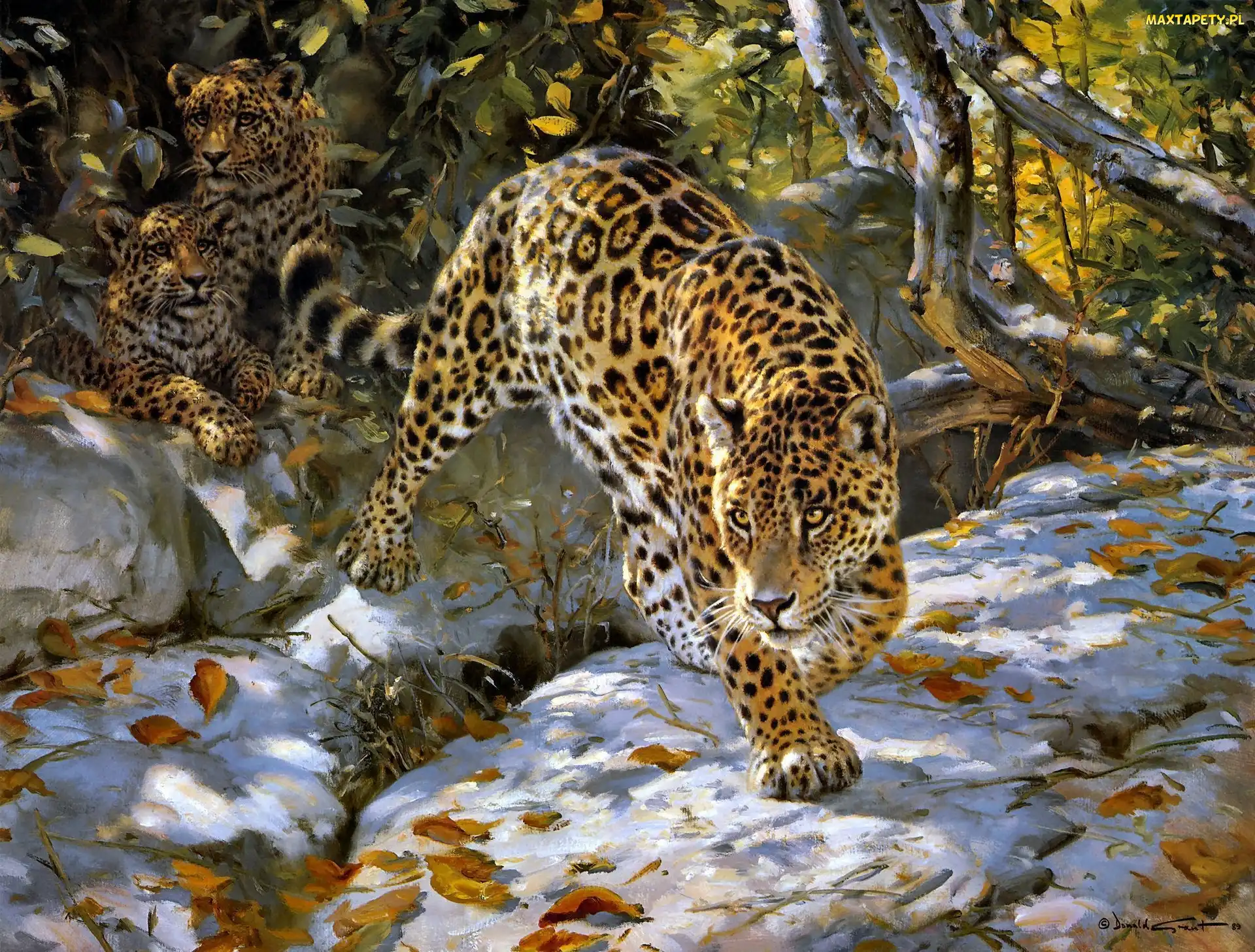 Drzewa, Jaguar, Art, Śnieg