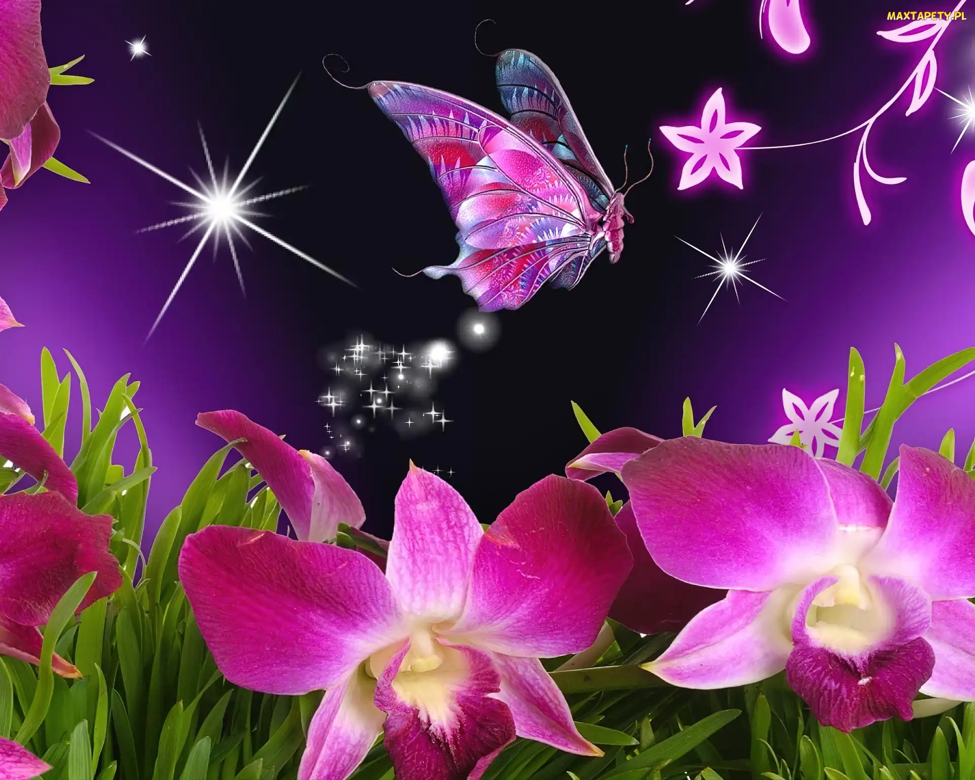 Kwiaty, Art, Motyl