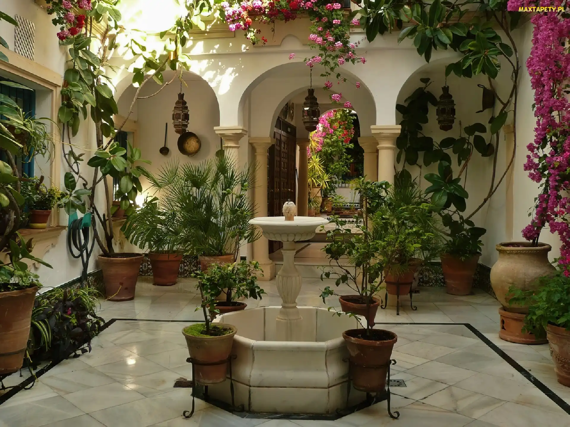 Patio, Fontanna